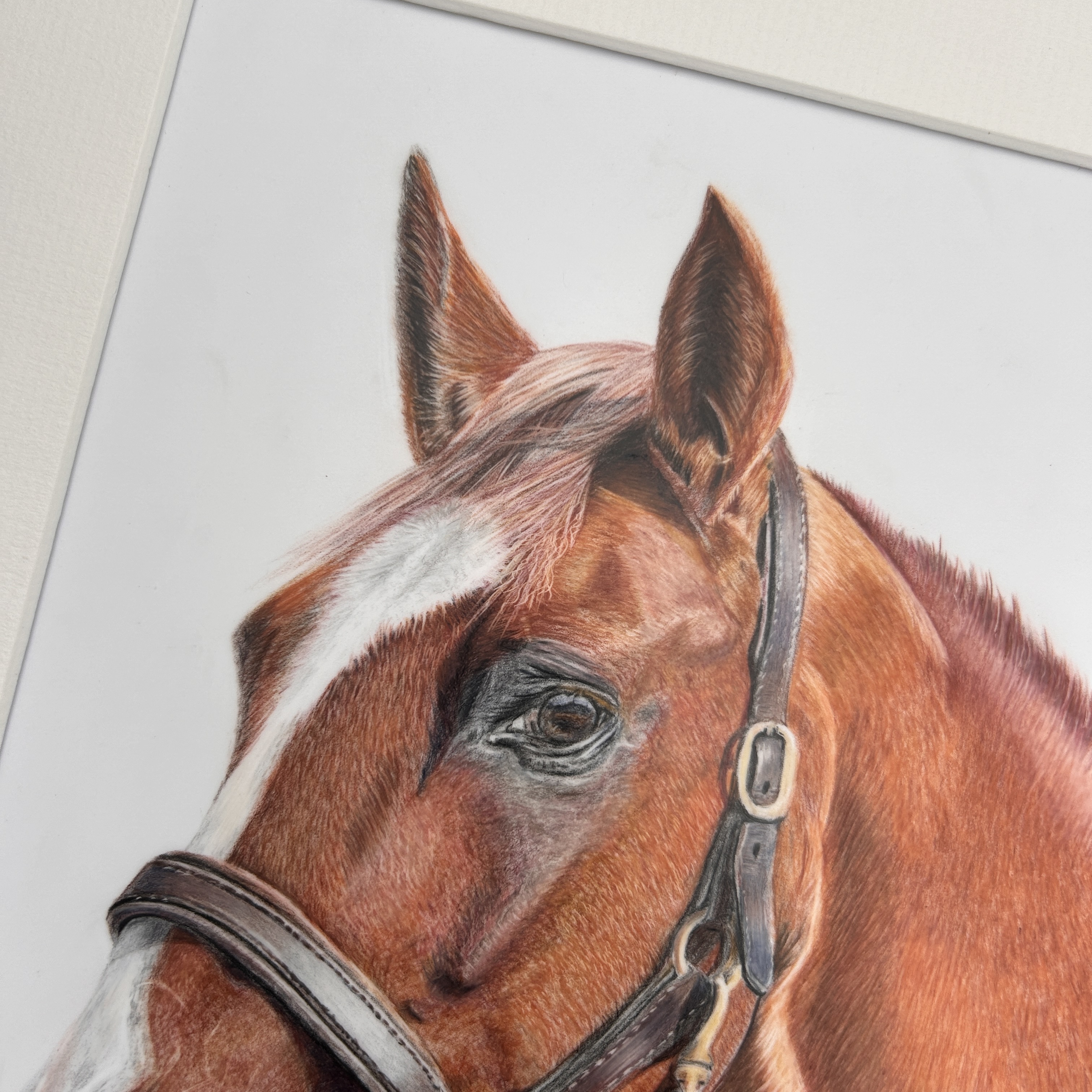 Chestnut Horse