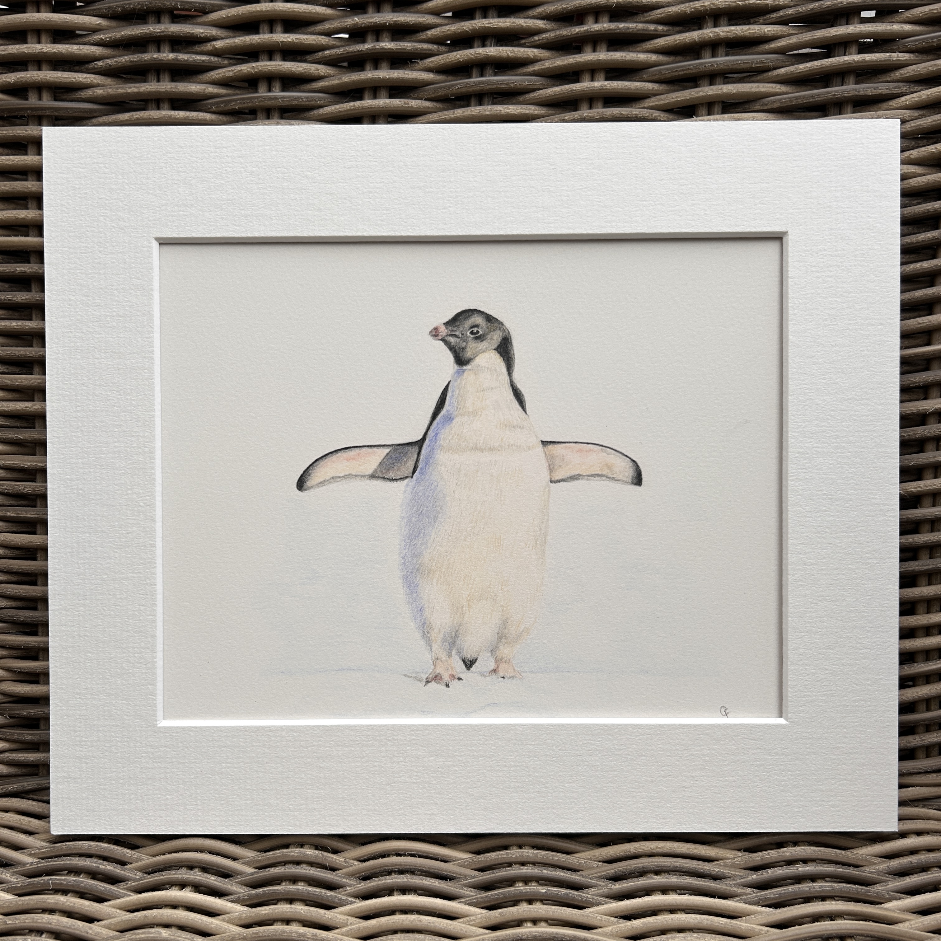 Percy Penguin