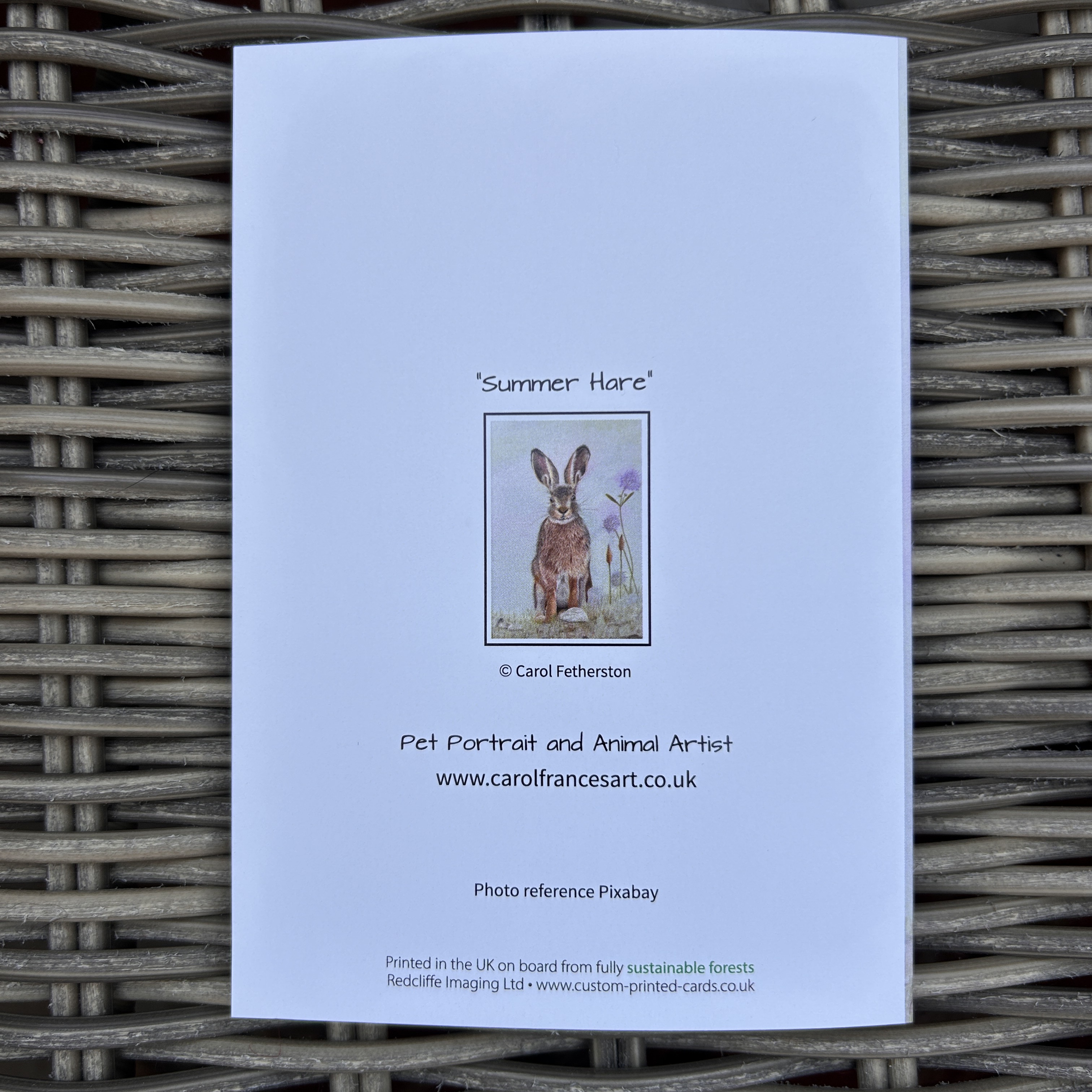 Summer Hare