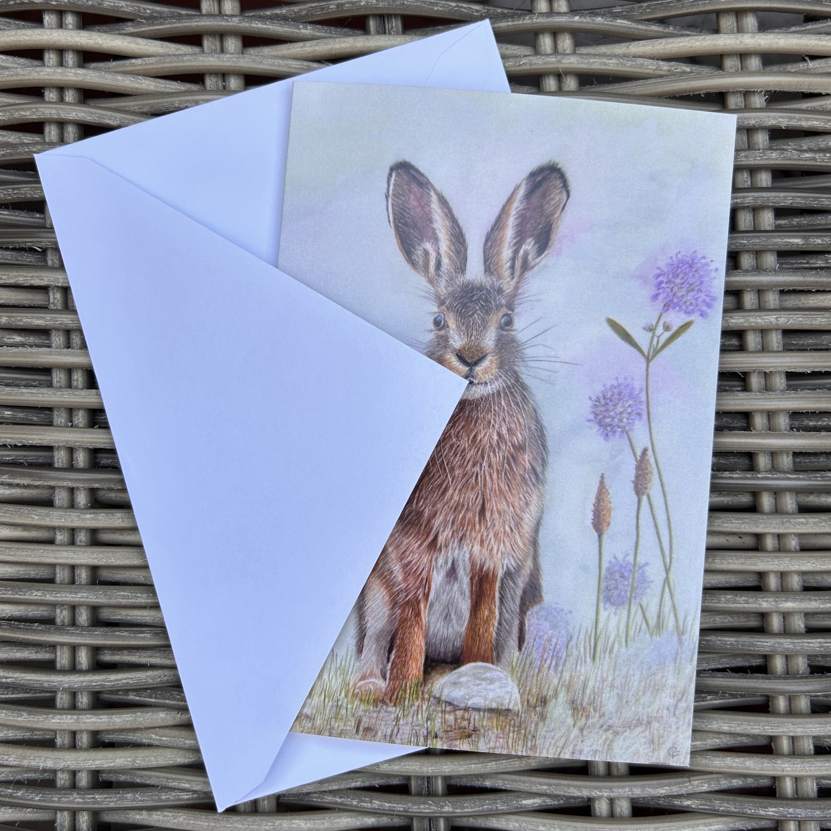 Summer Hare