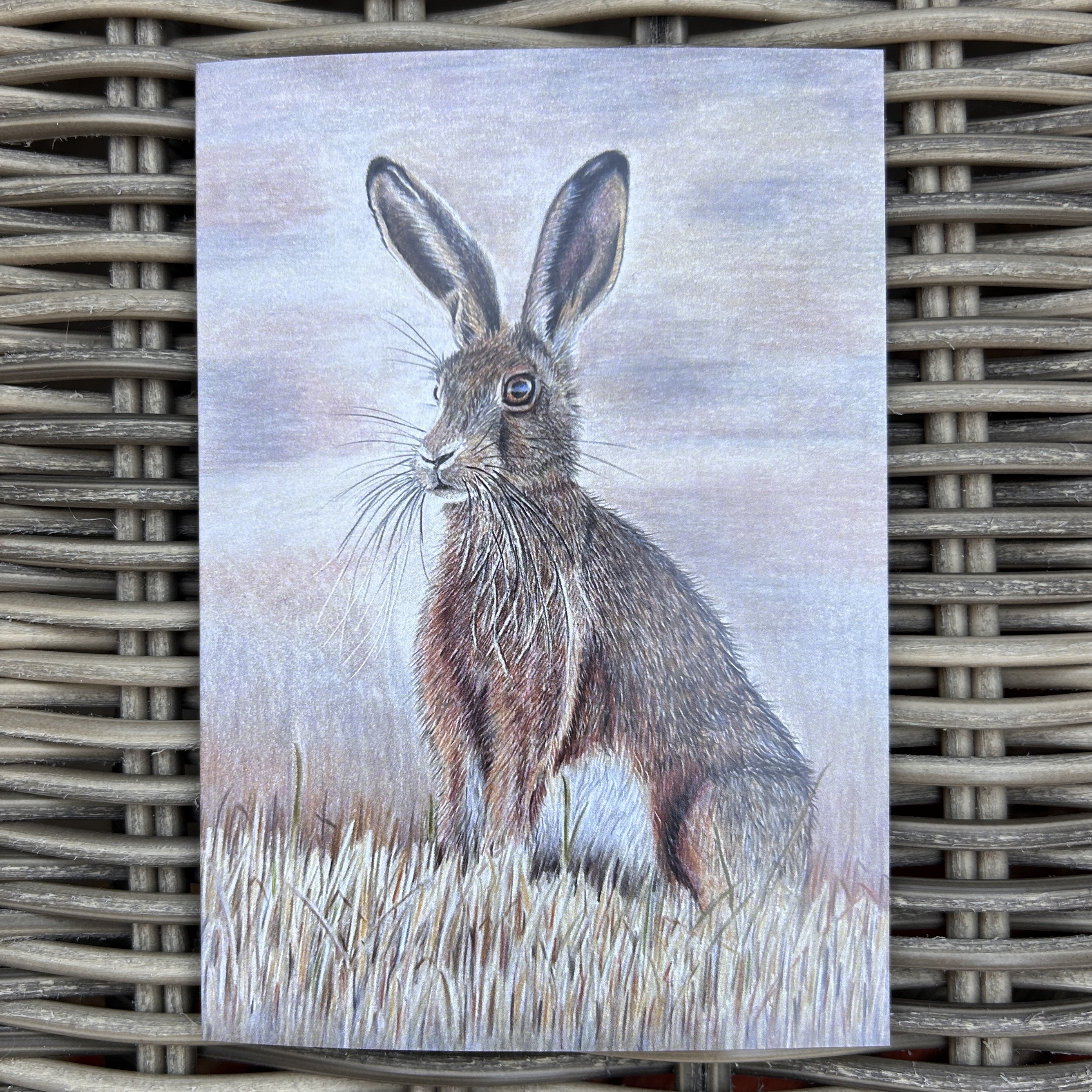 Autumn Hare