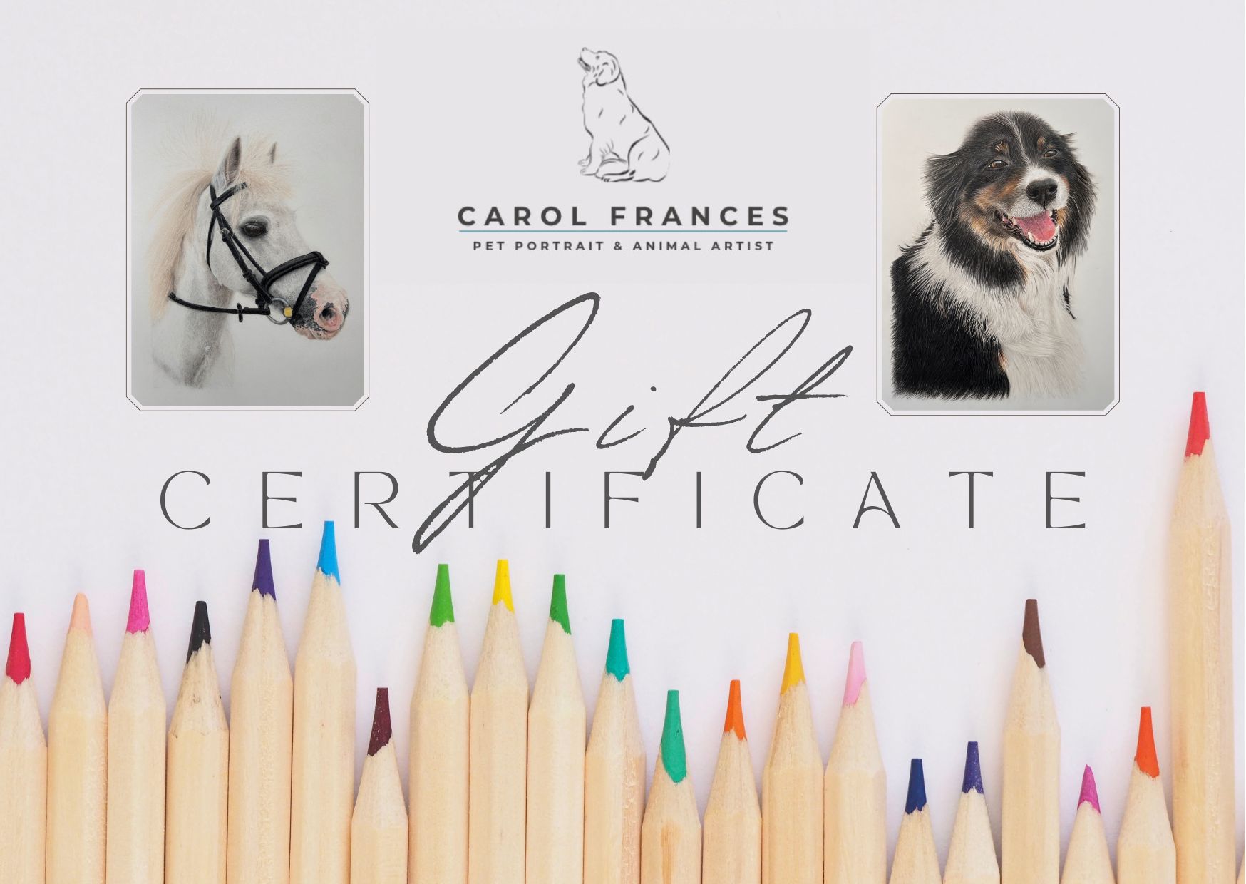 Pet Portrait Gift Certificate