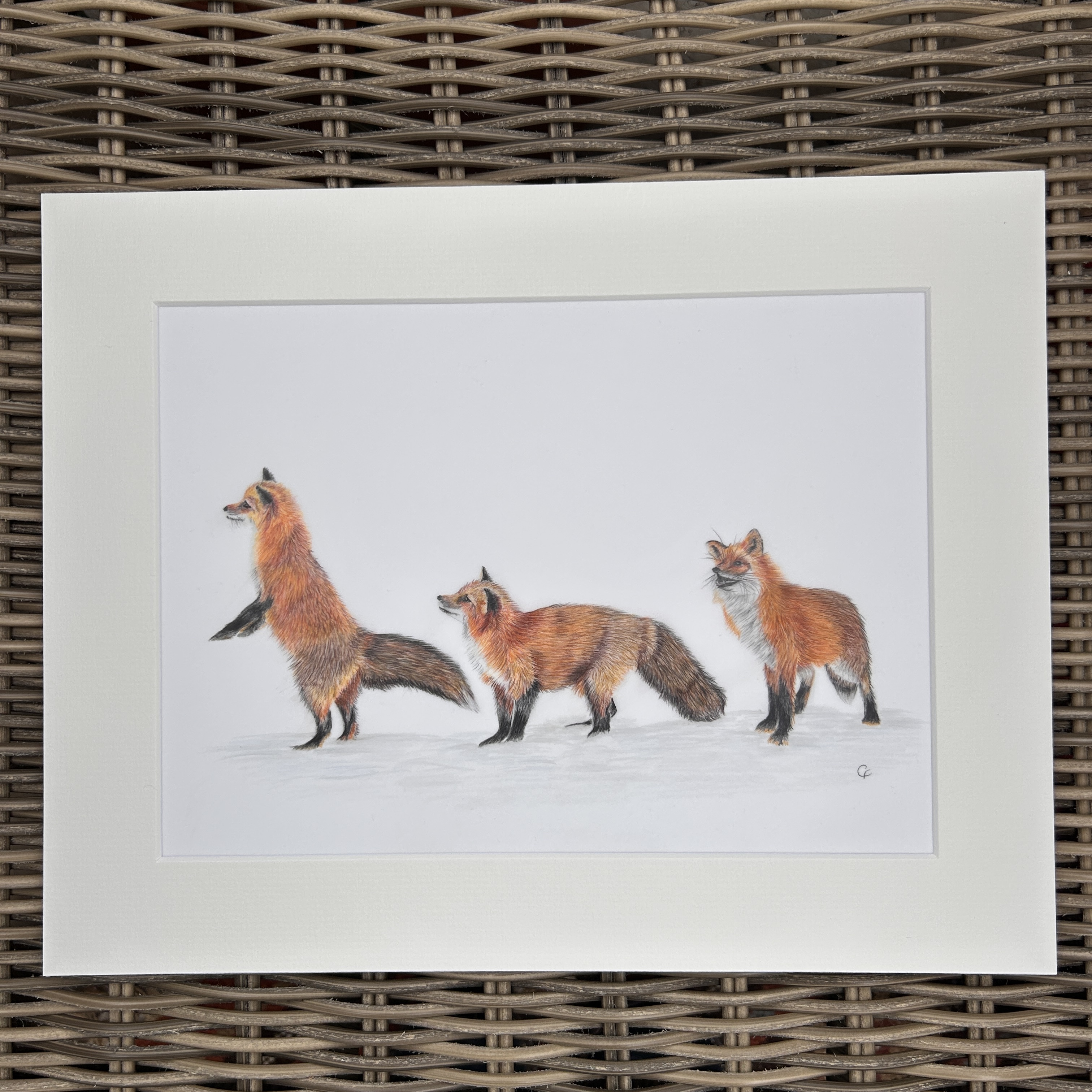 Three Little Foxes