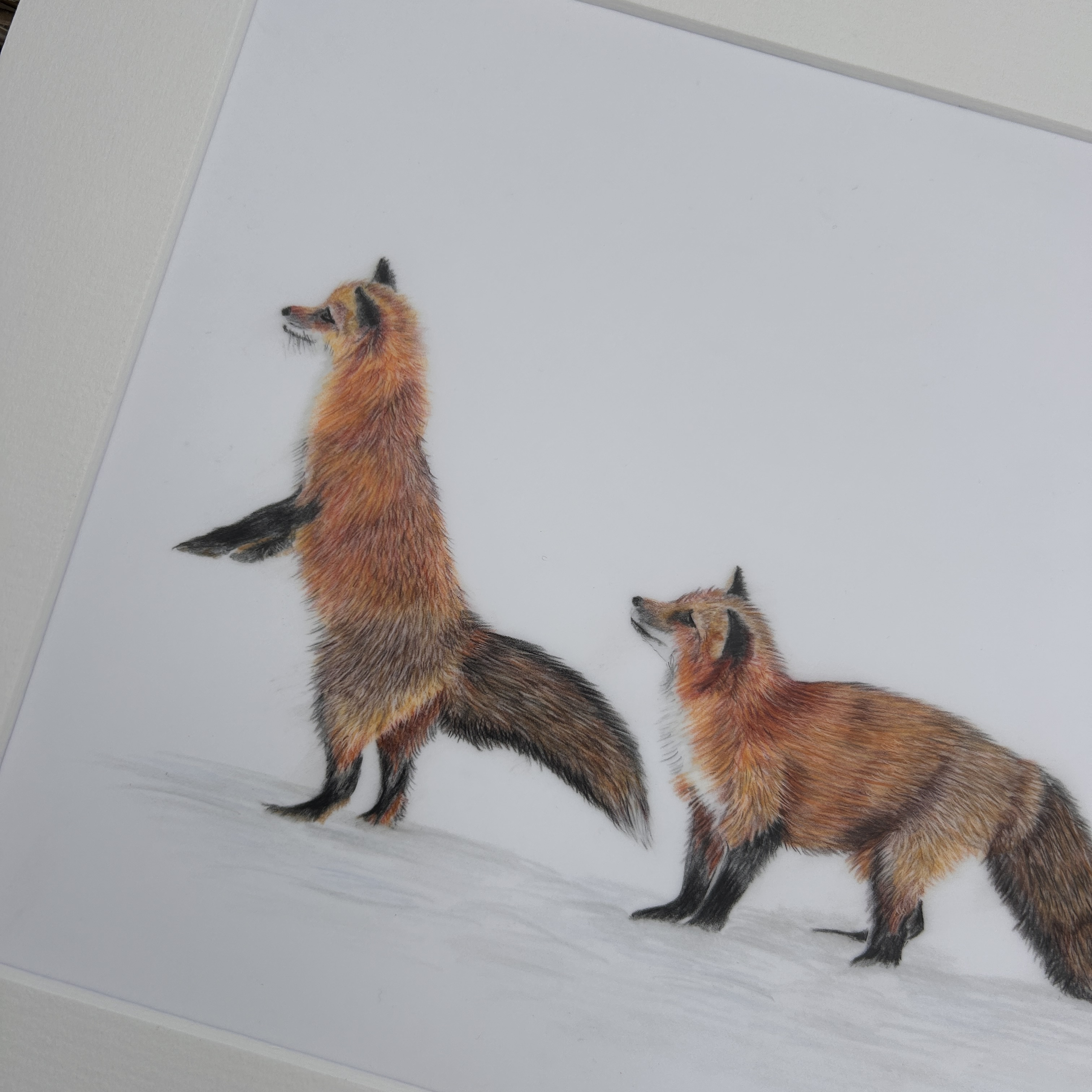 Three Little Foxes