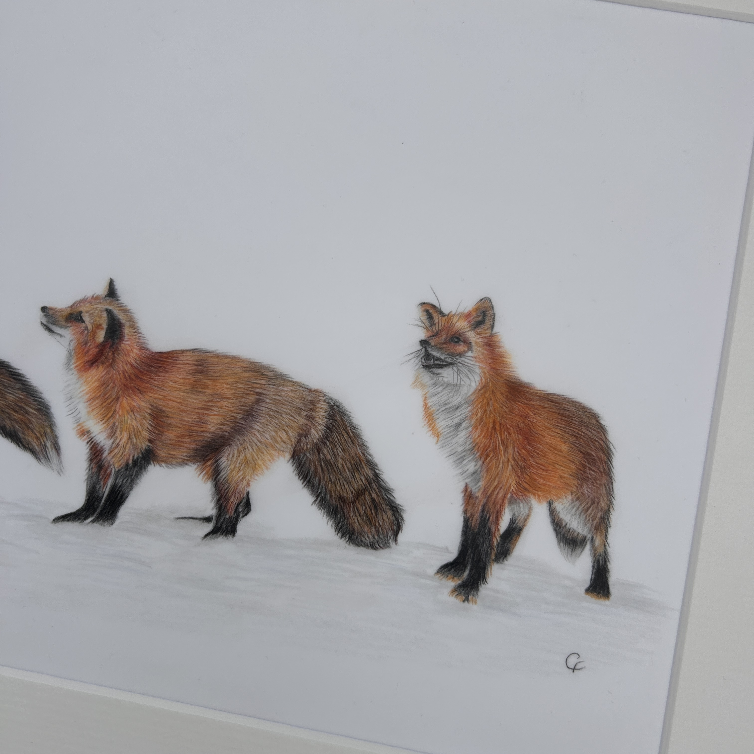 Three Little Foxes