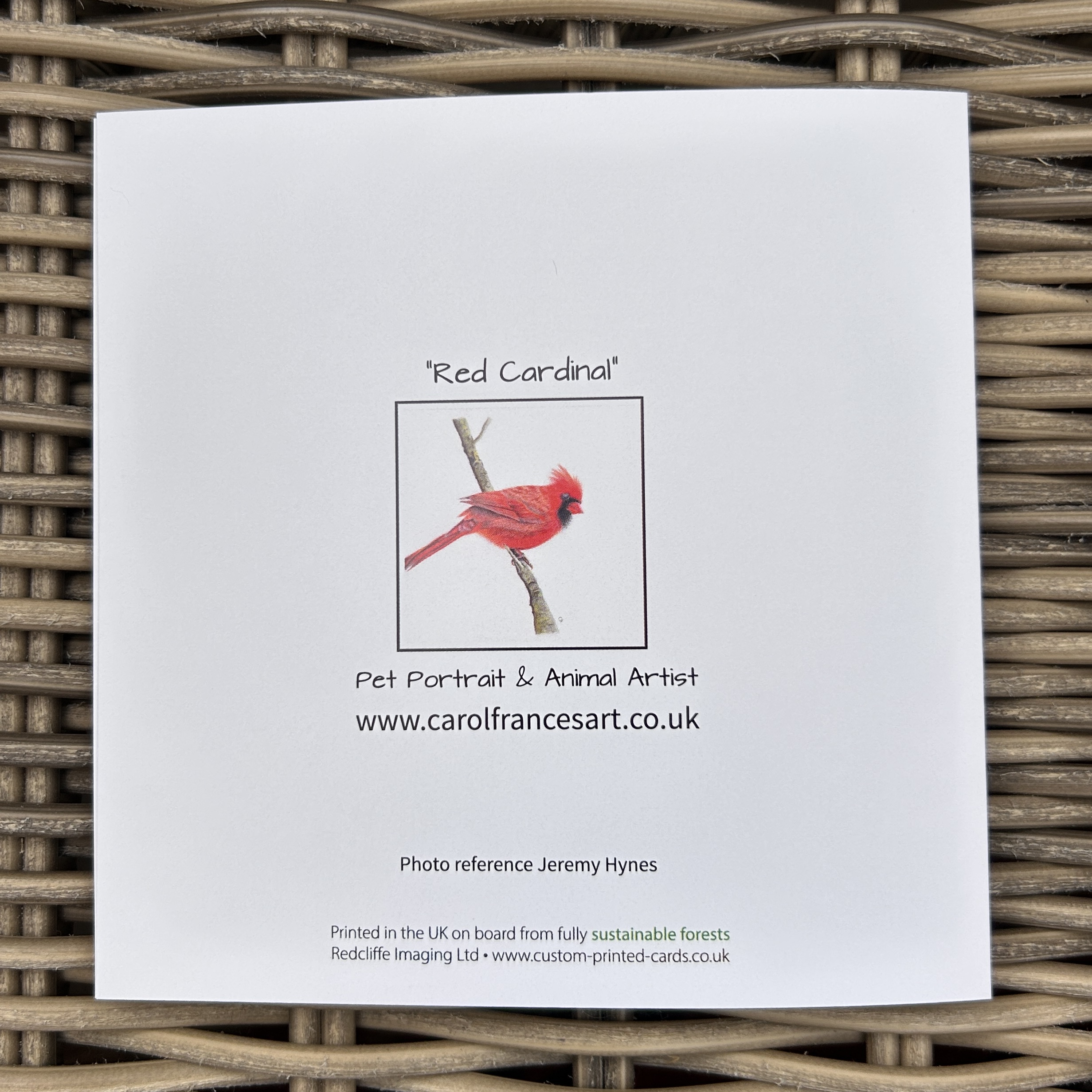 Red Cardinal