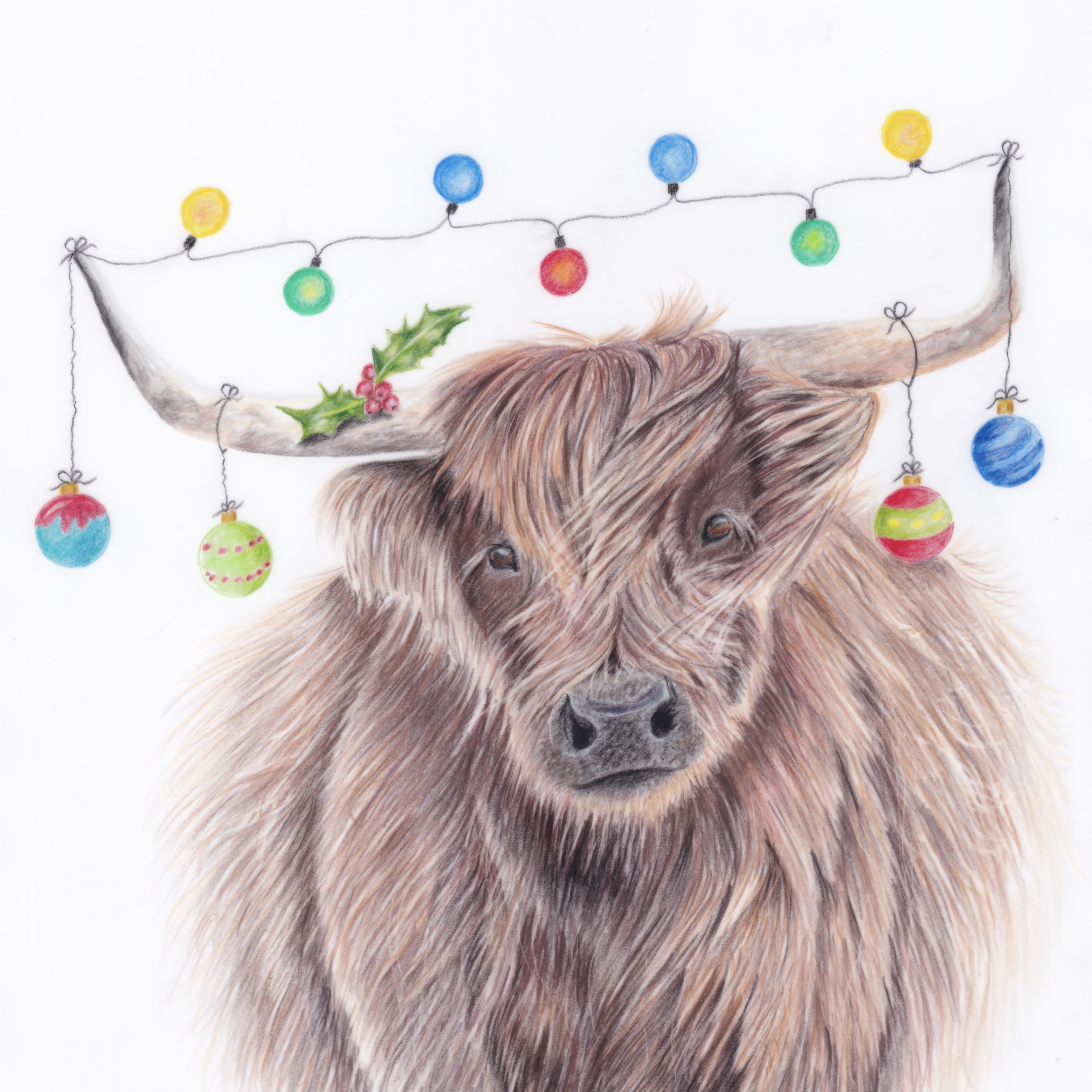 Christmas Coo