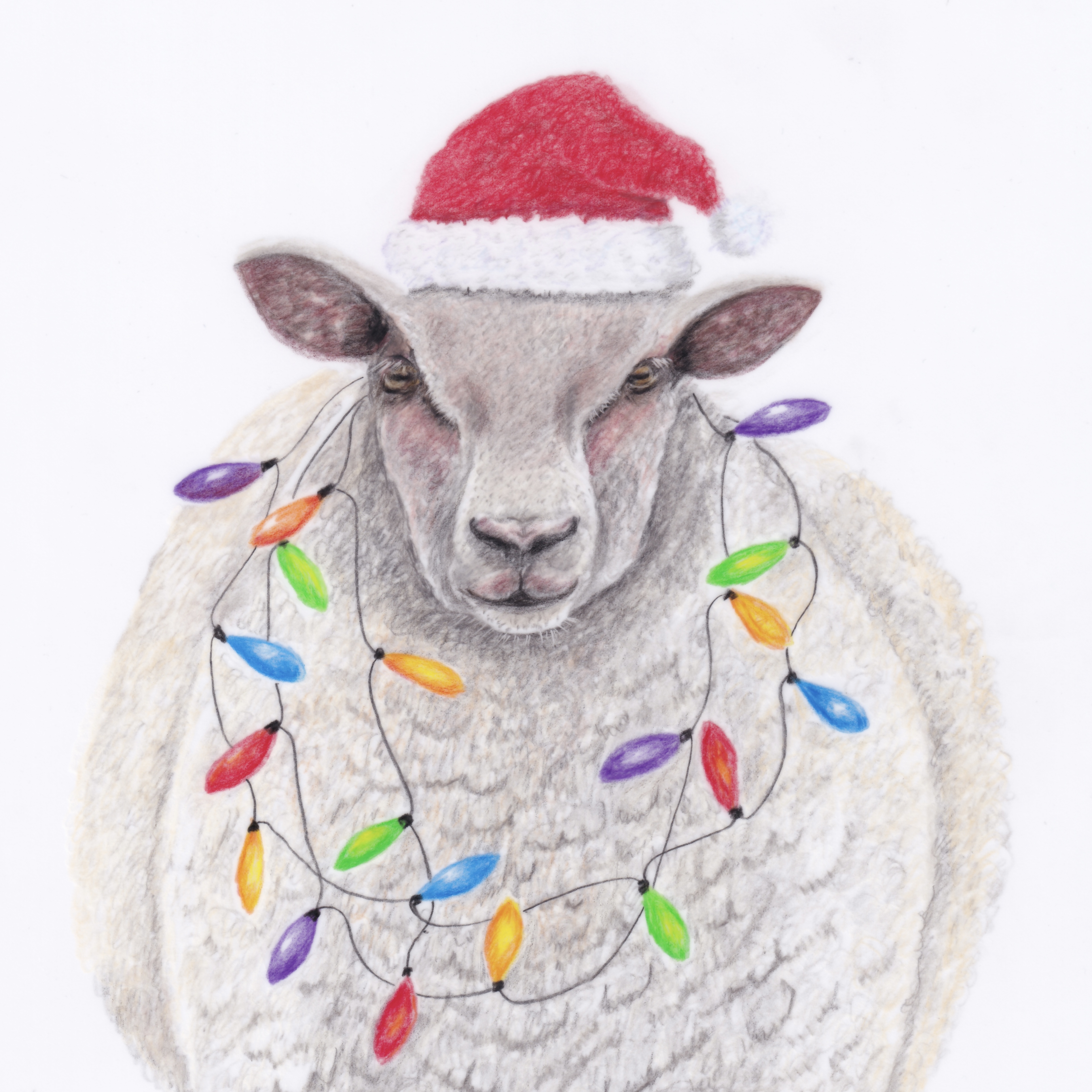 Christmas Ewe