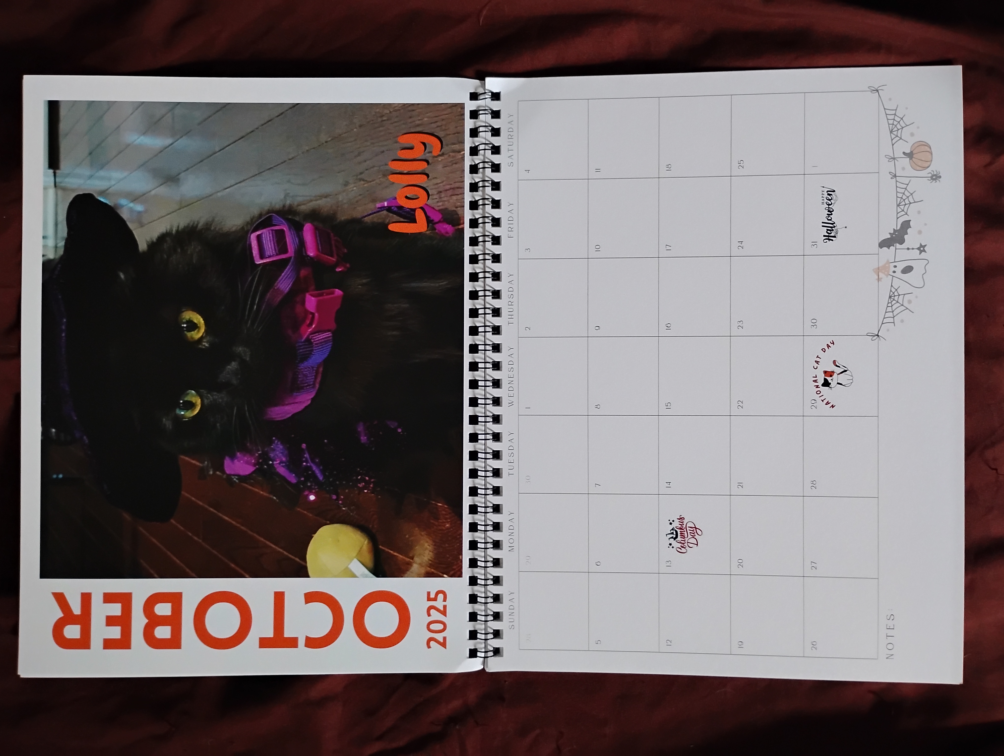 Calendar Featuring Charlie-Cat (September 2025 till August 2026) $10, cheap!
