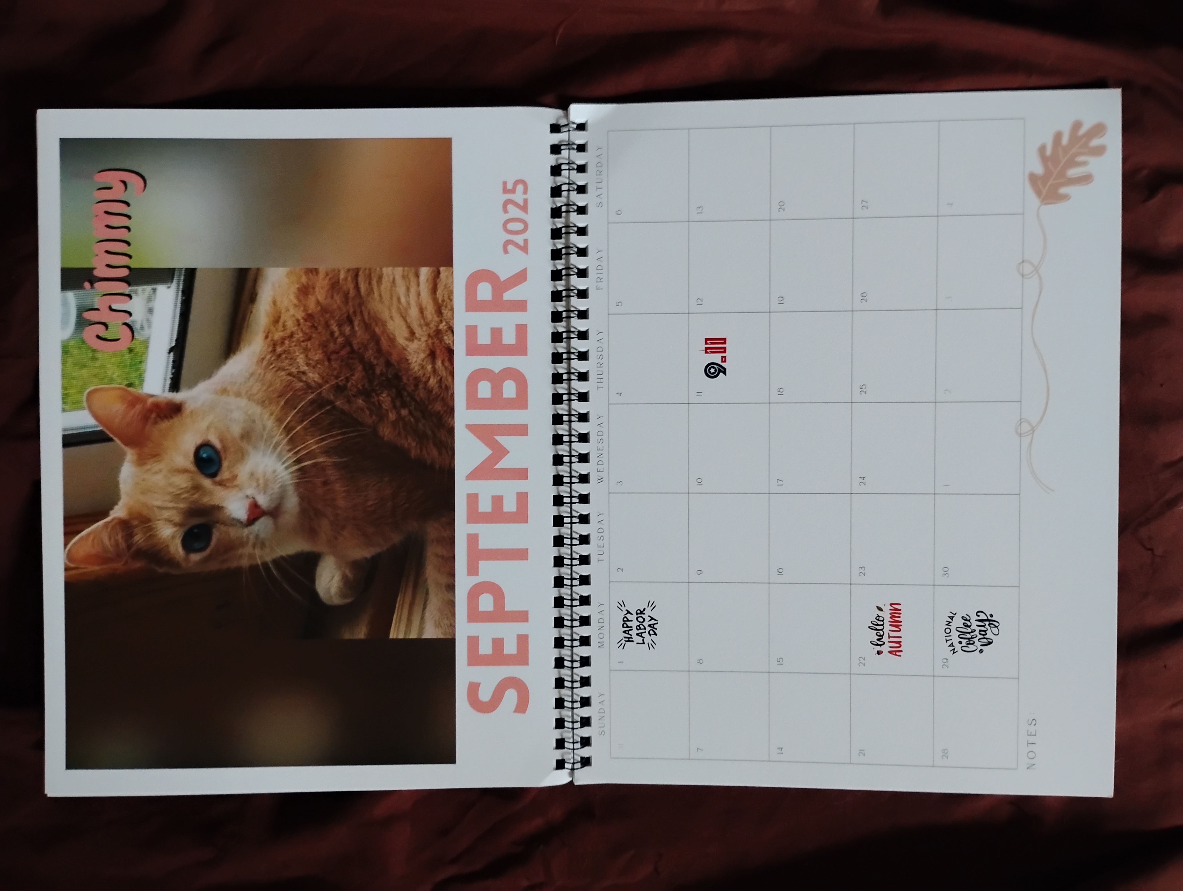Calendar Featuring Charlie-Cat (September 2025 till August 2026) $10, cheap!