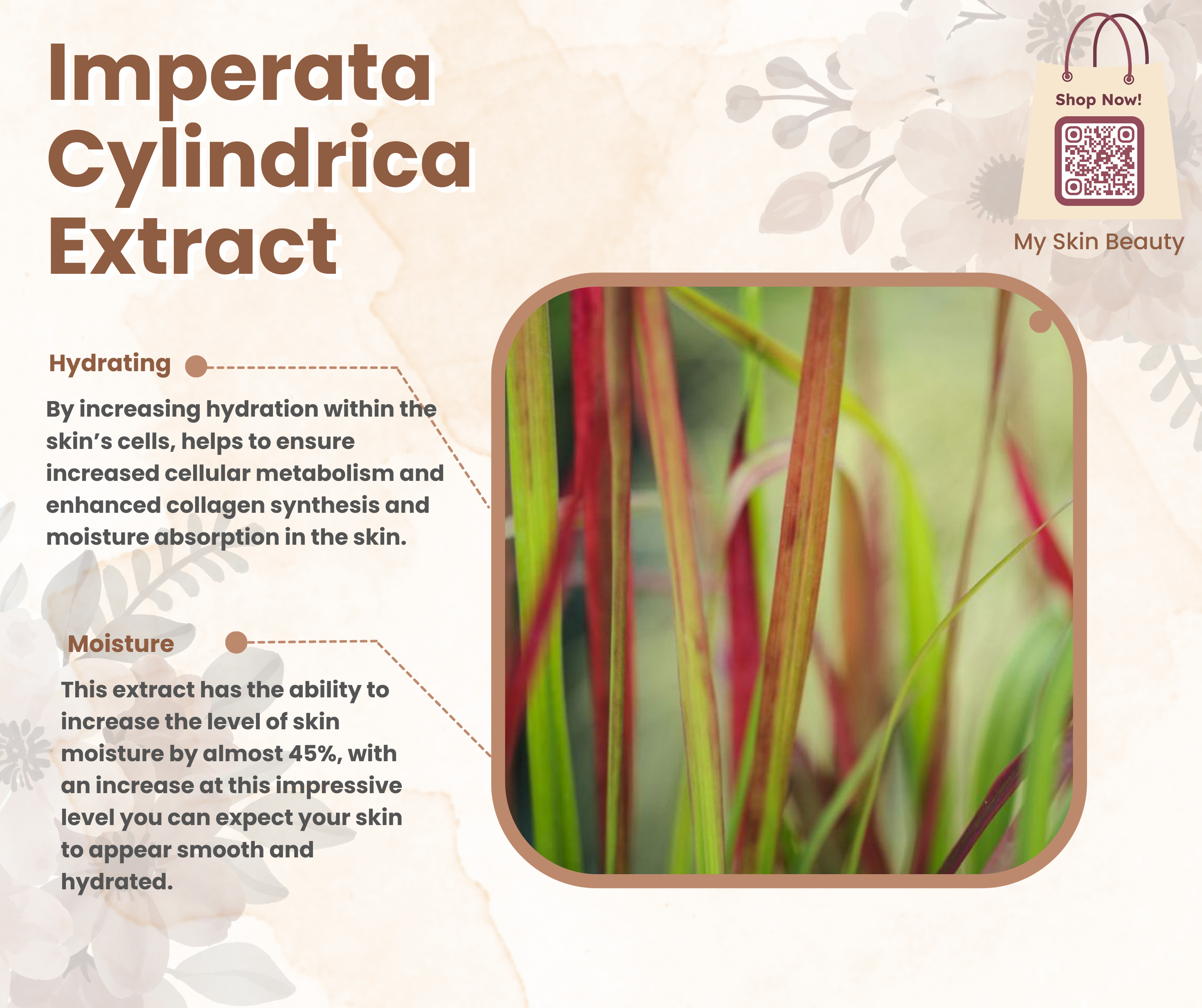 My Skin Beauty - Ultra Moisturizing Mask (Pack of 5)