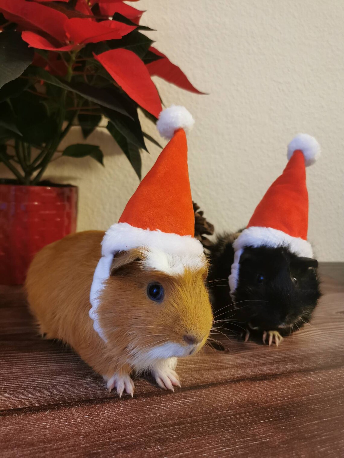 Christmas Small Animal Hat