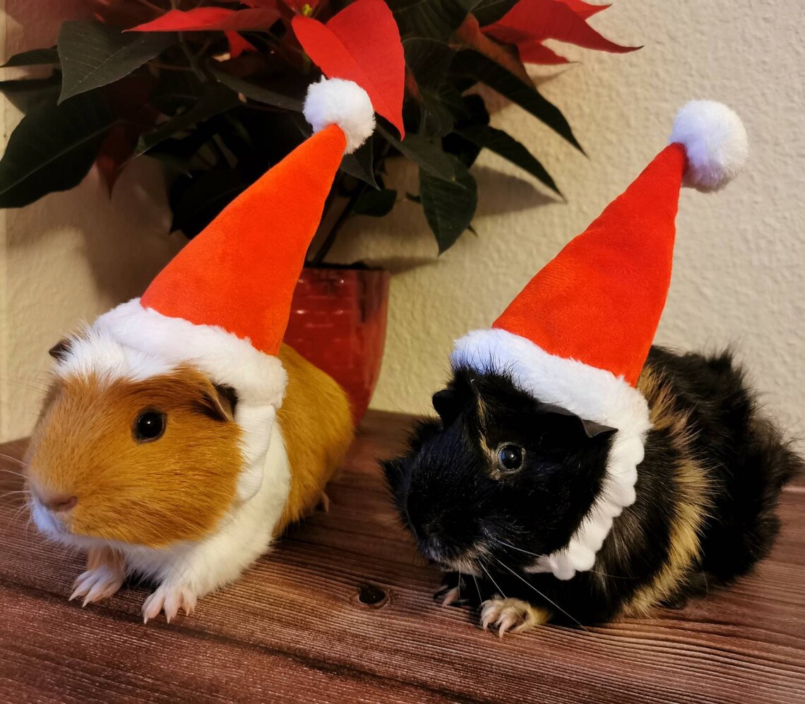 Christmas Small Animal Hat
