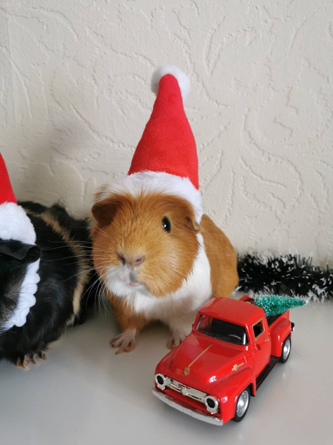 Christmas Small Animal Hat