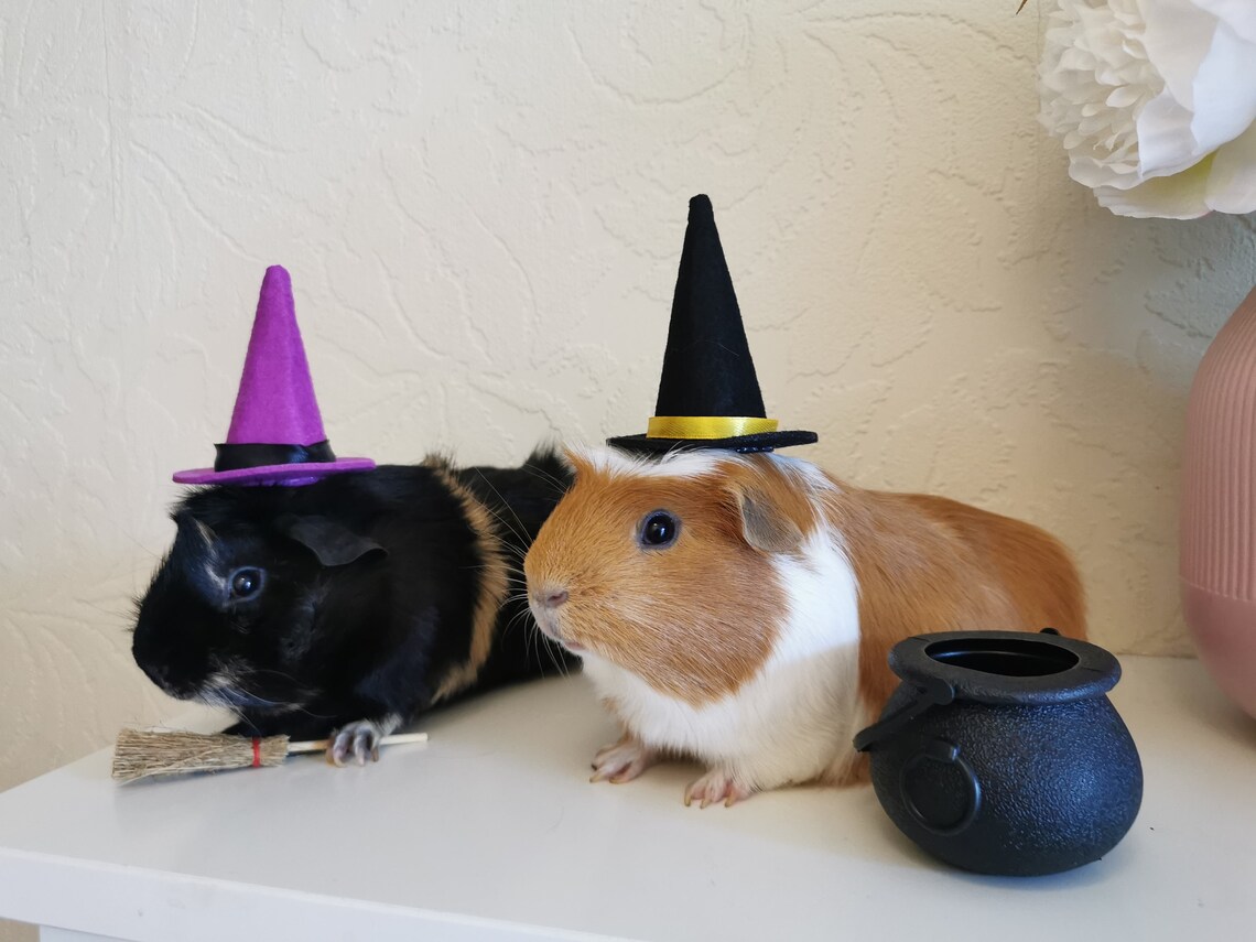 Halloween Guinea Pig Pet Costume 