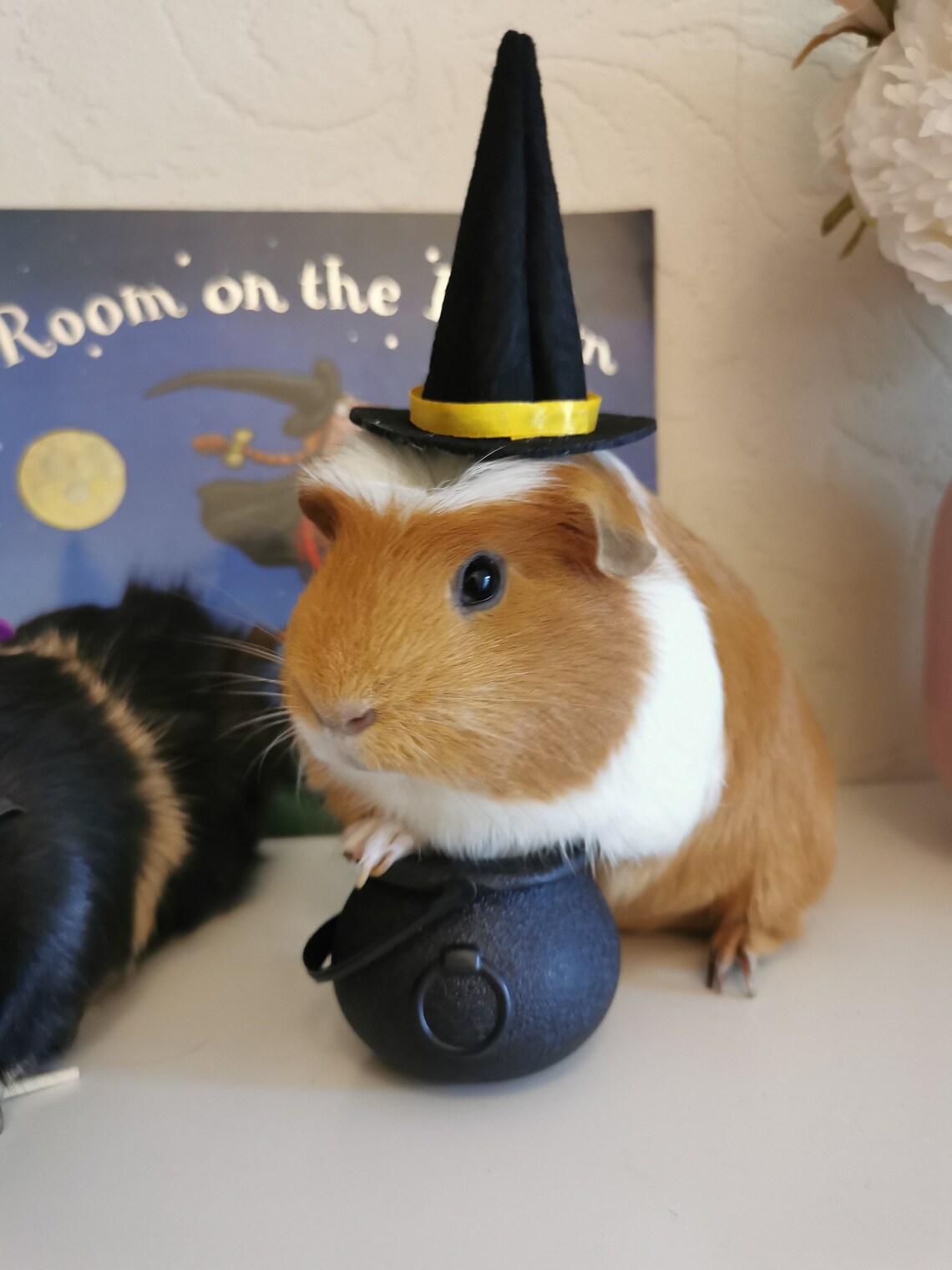 Halloween Guinea Pig Pet Costume 