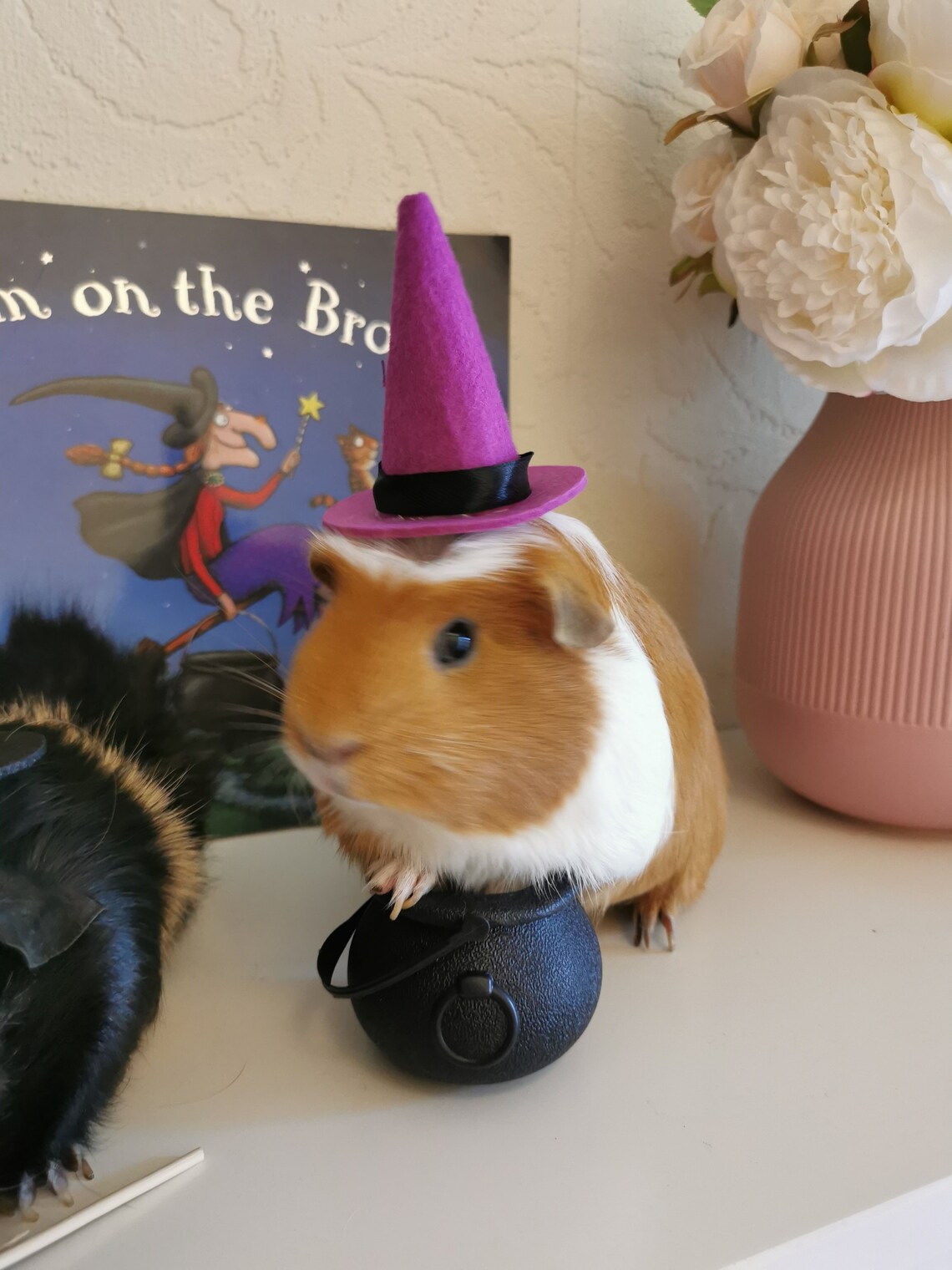 Halloween Guinea Pig Pet Costume 