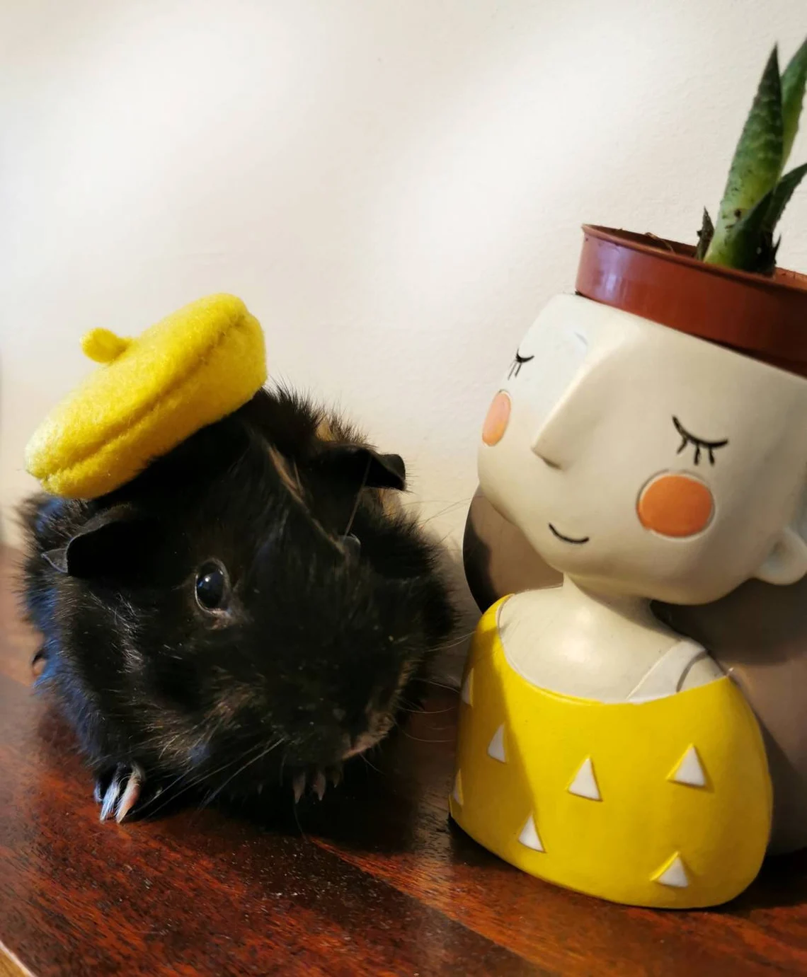 Guinea Pig Fancy Beret