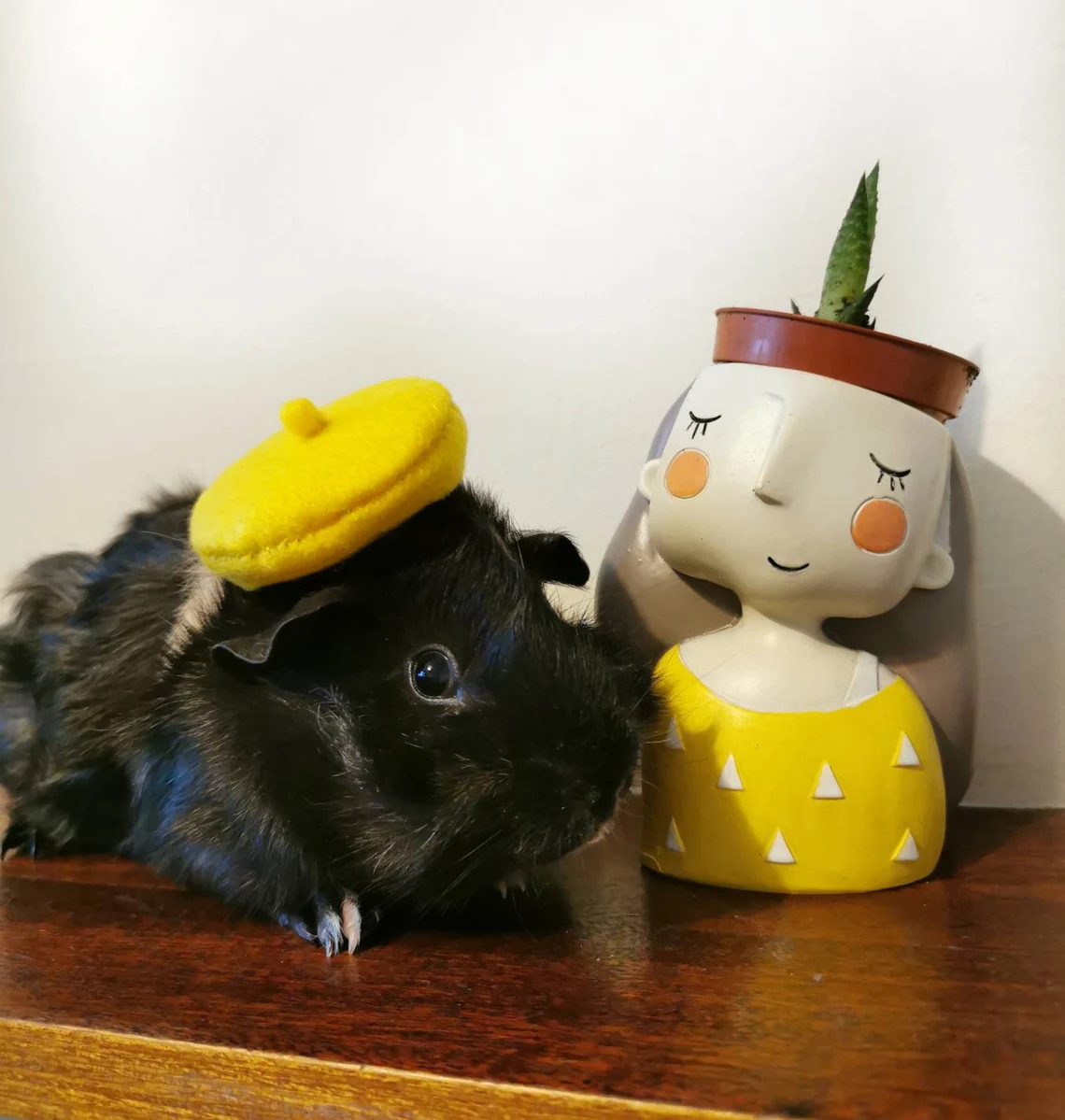 Guinea Pig Fancy Beret