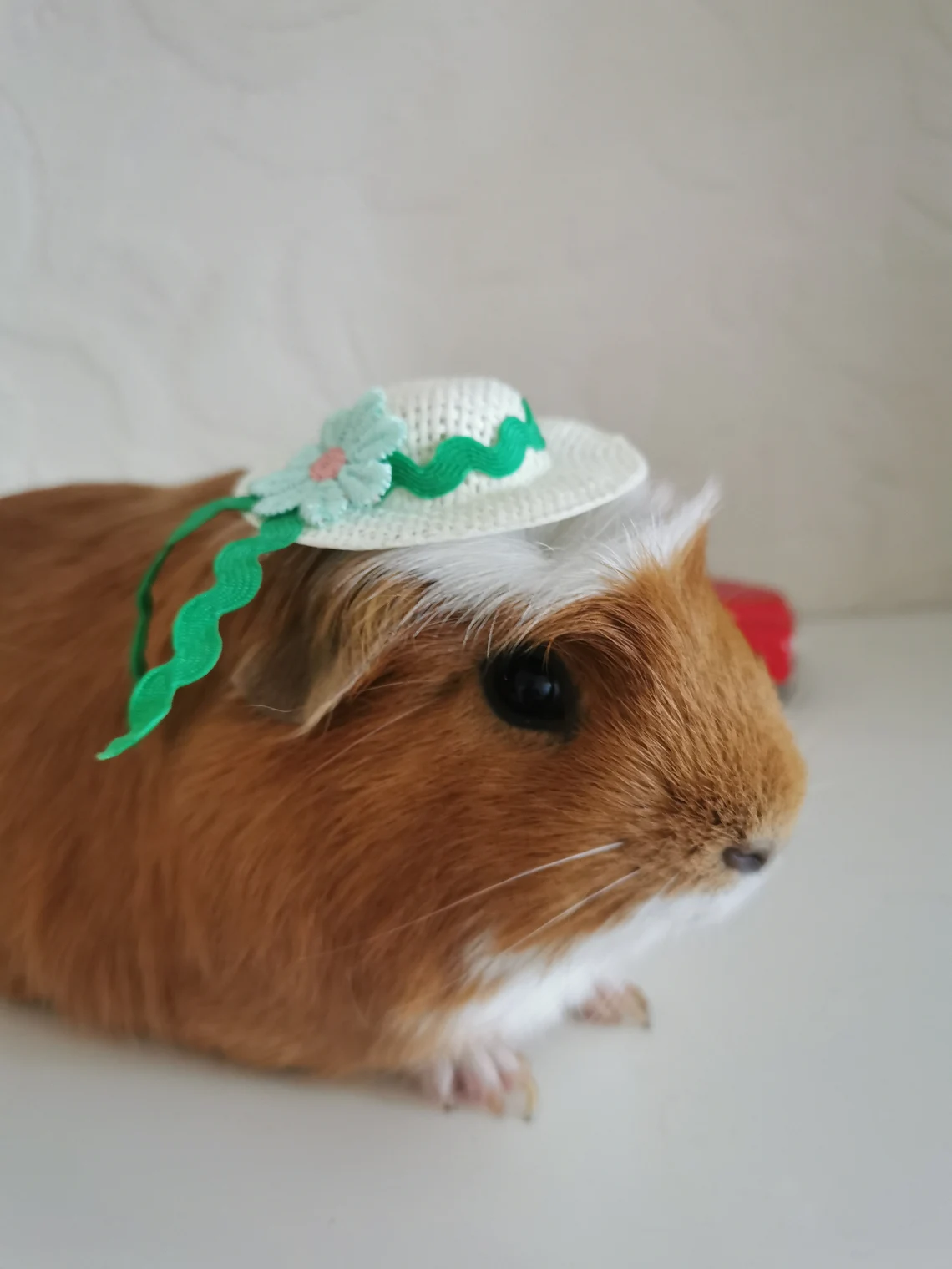 Guinea Pig Cute Summer Hat