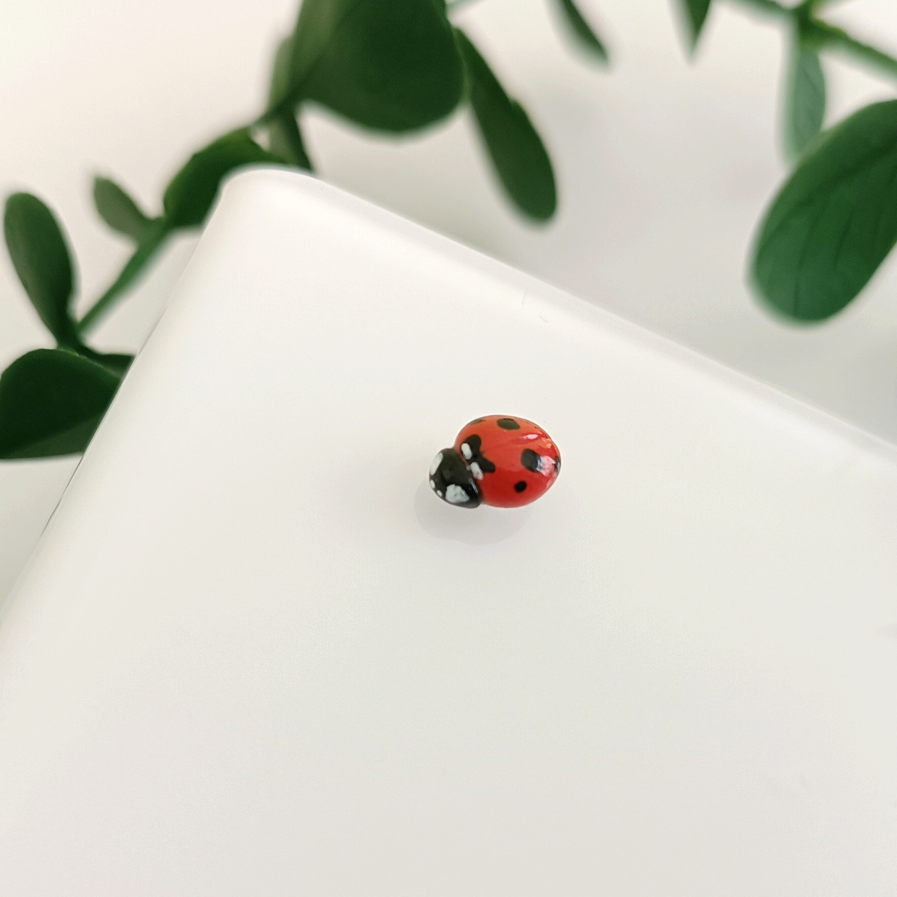 Kolczyki biedronki sztyty