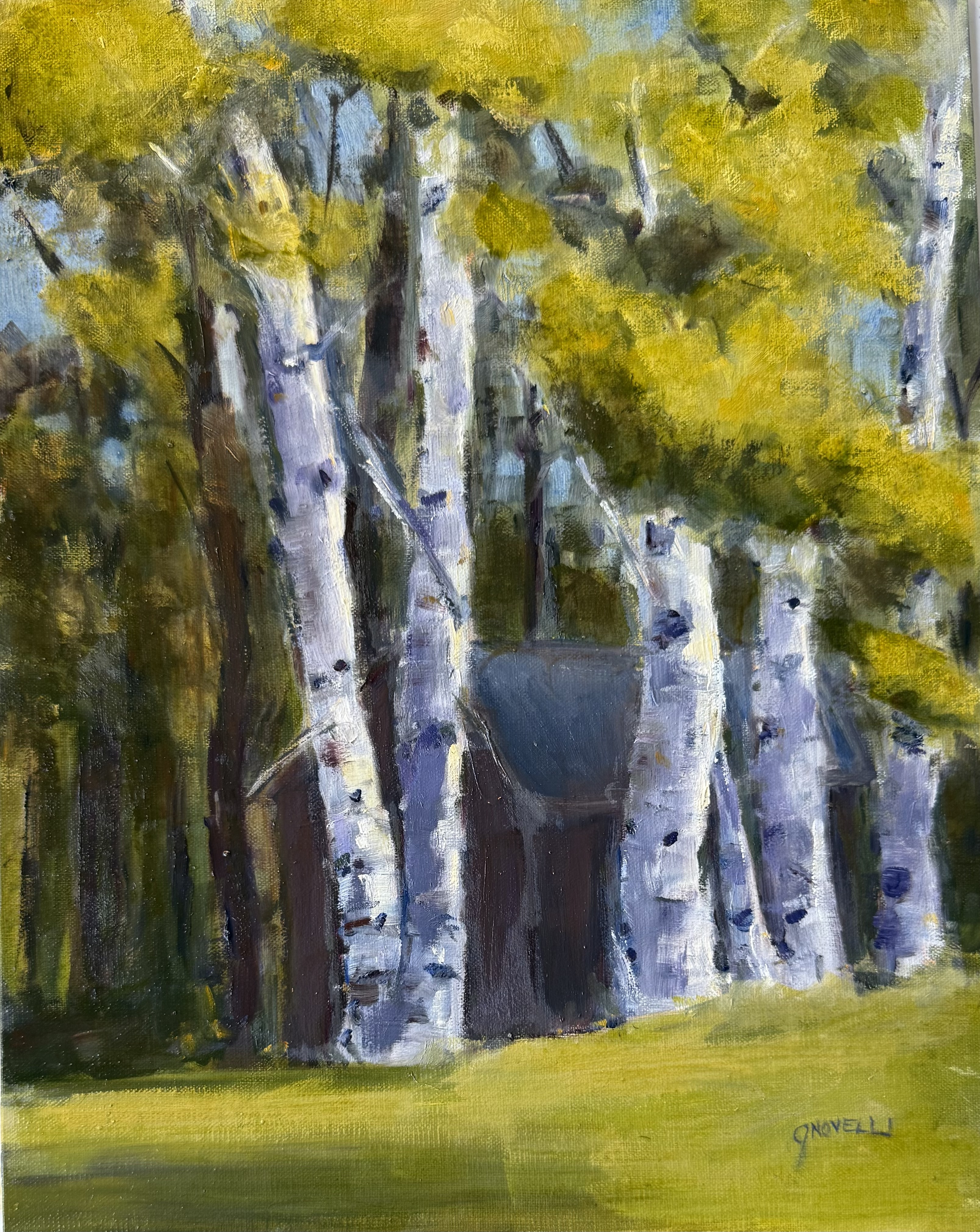 Sunlit Birches