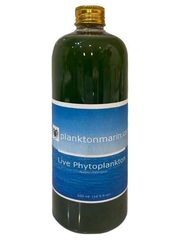 Live Phytoplankton