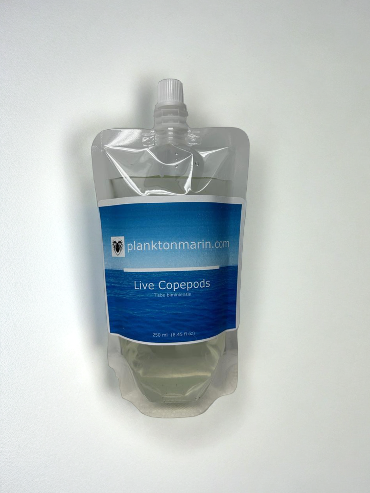 Apocyclops panamensis -  250ML