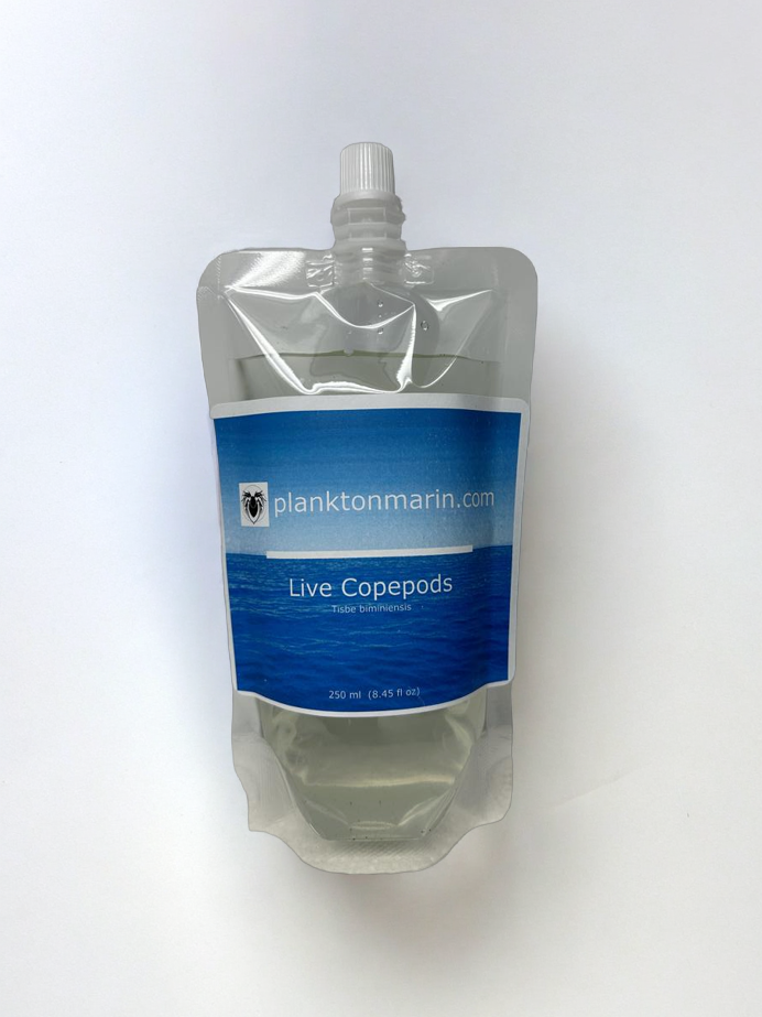 Live Copepods - Tisbe Biminiensis