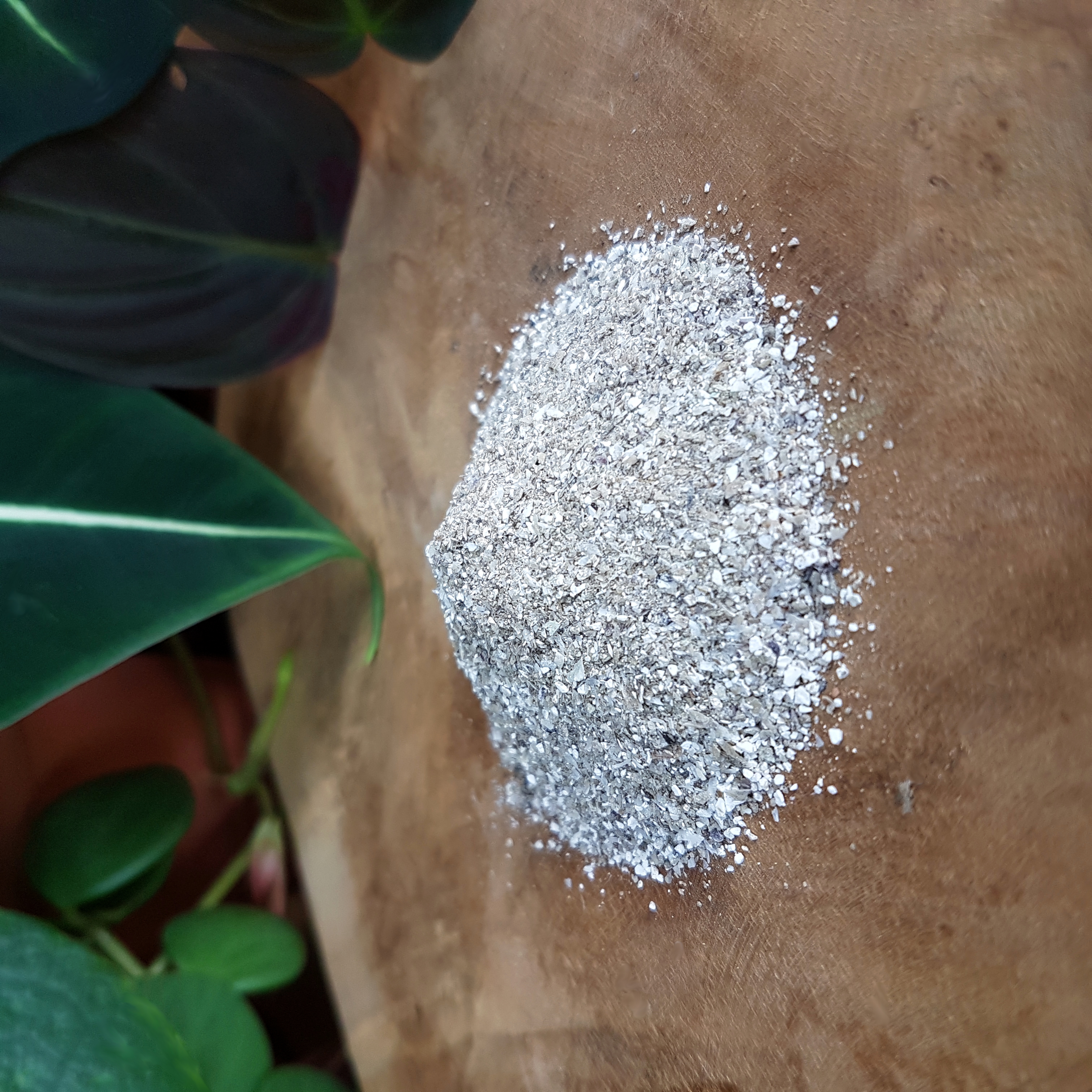 Coquilles d'huîtres en poudre