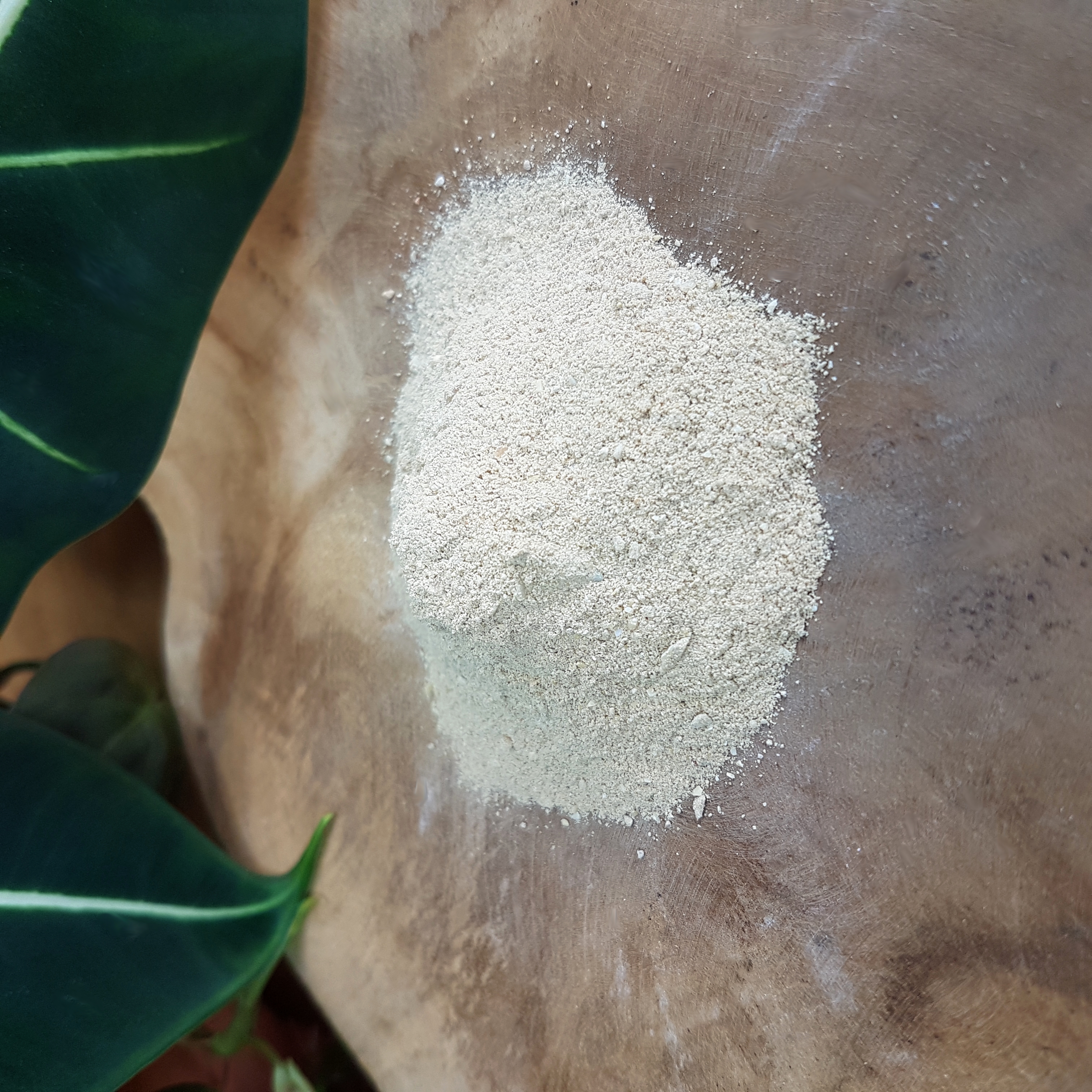 Farine d'arrêtes de poissons