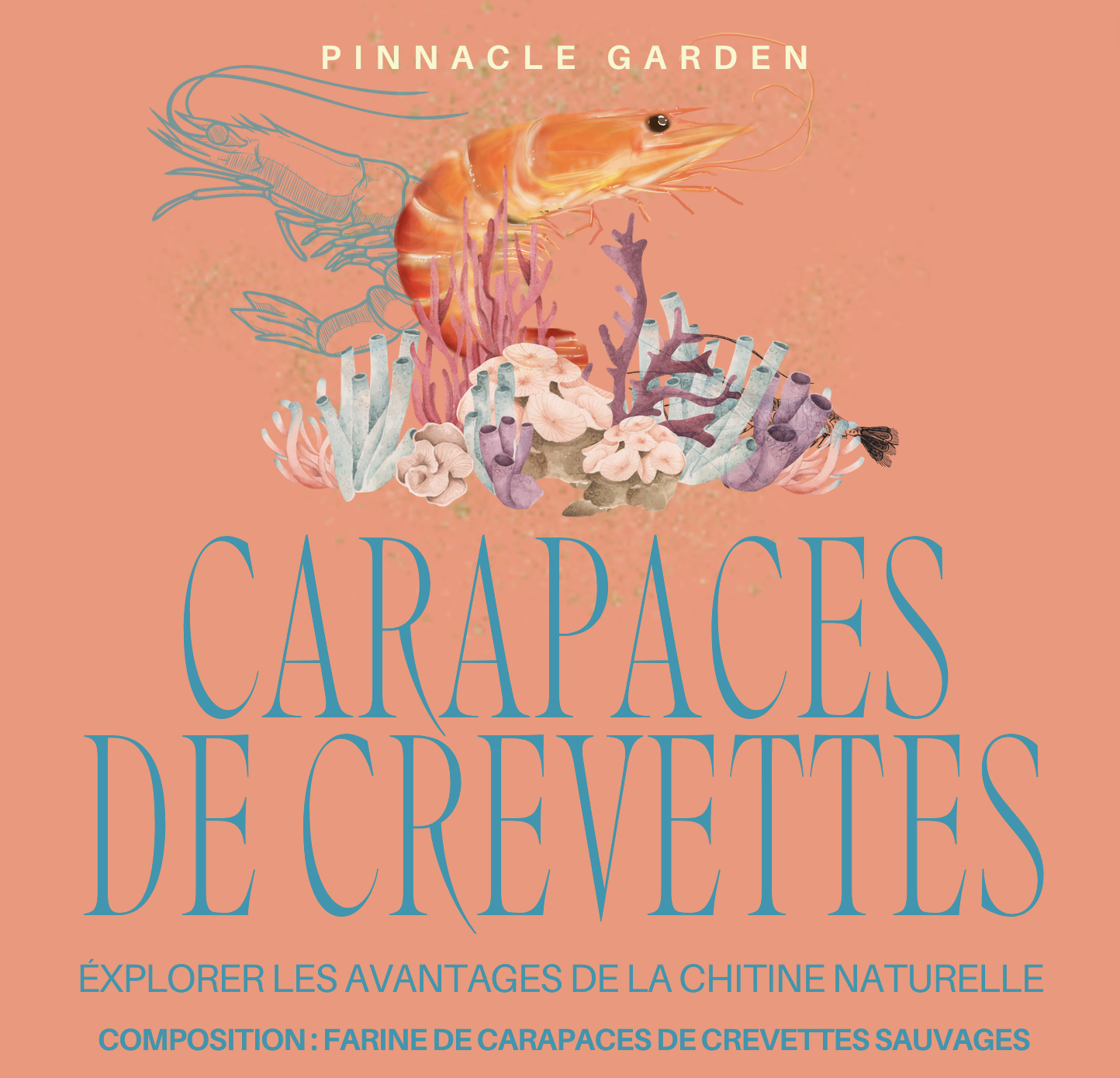 Carapaces de Crevettes