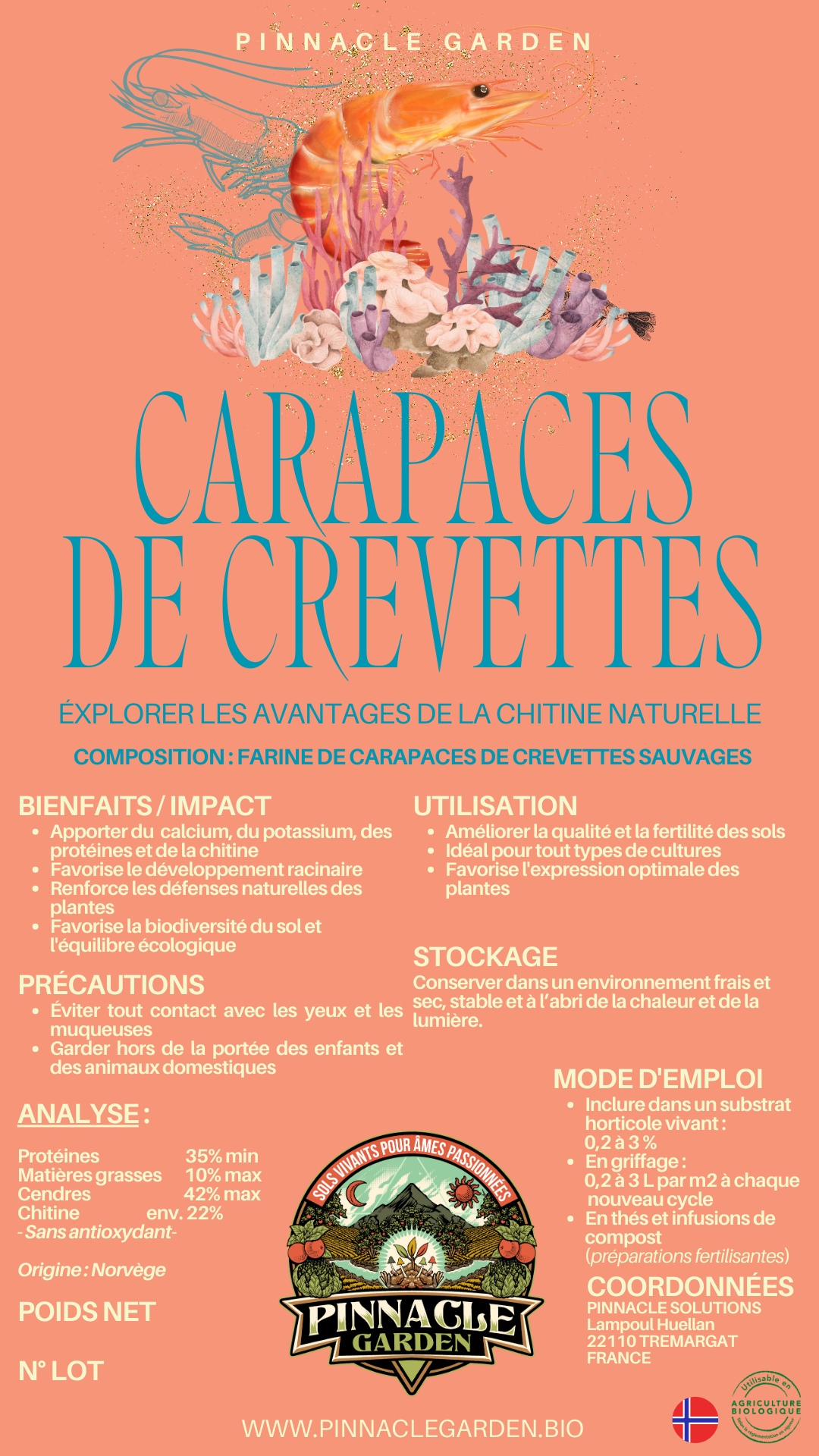 Carapaces de Crevettes