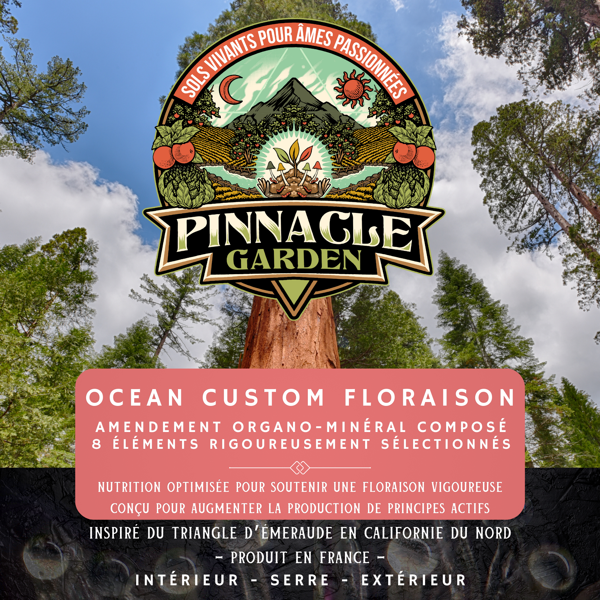 Ocean Custom Floraison