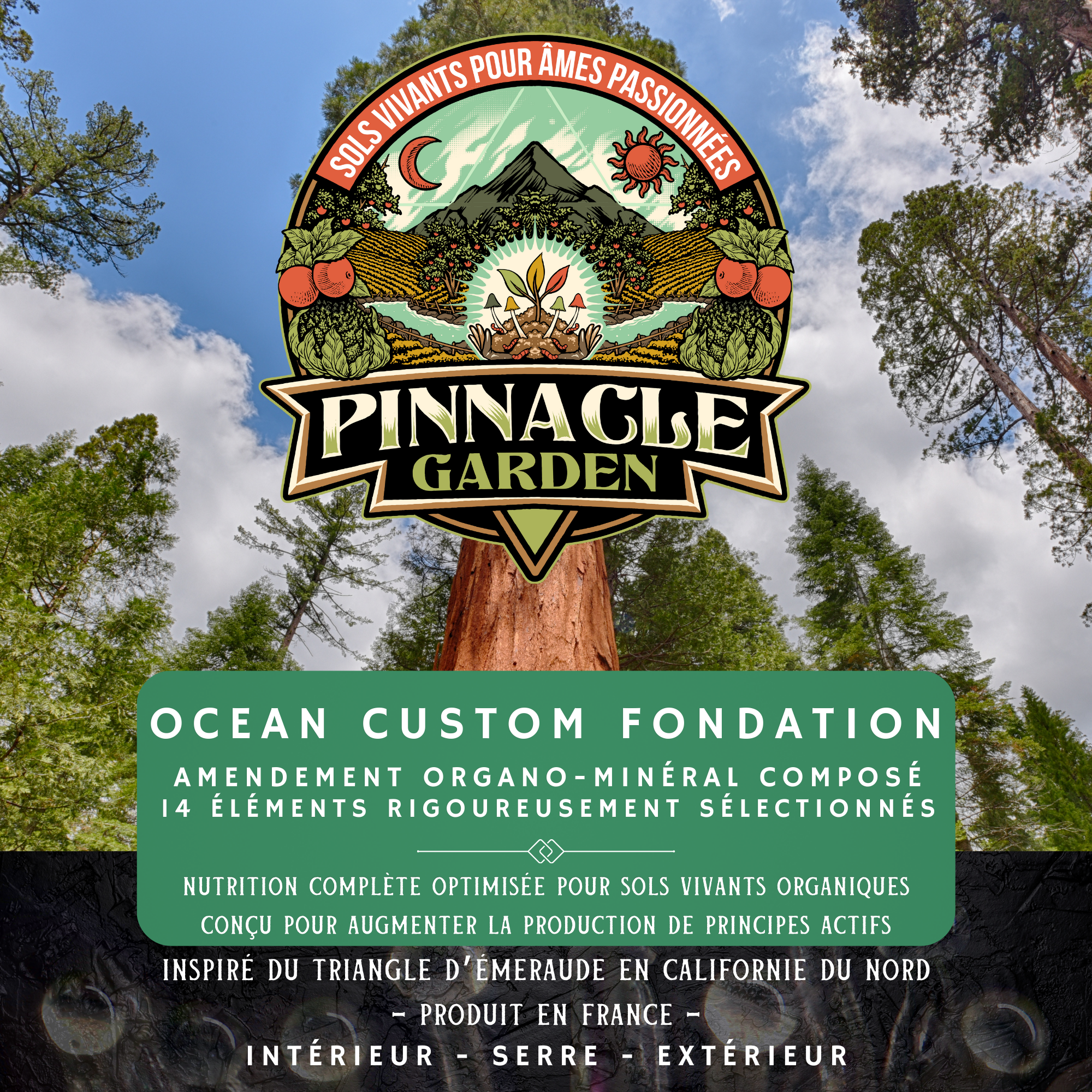 Ocean Custom Fondation