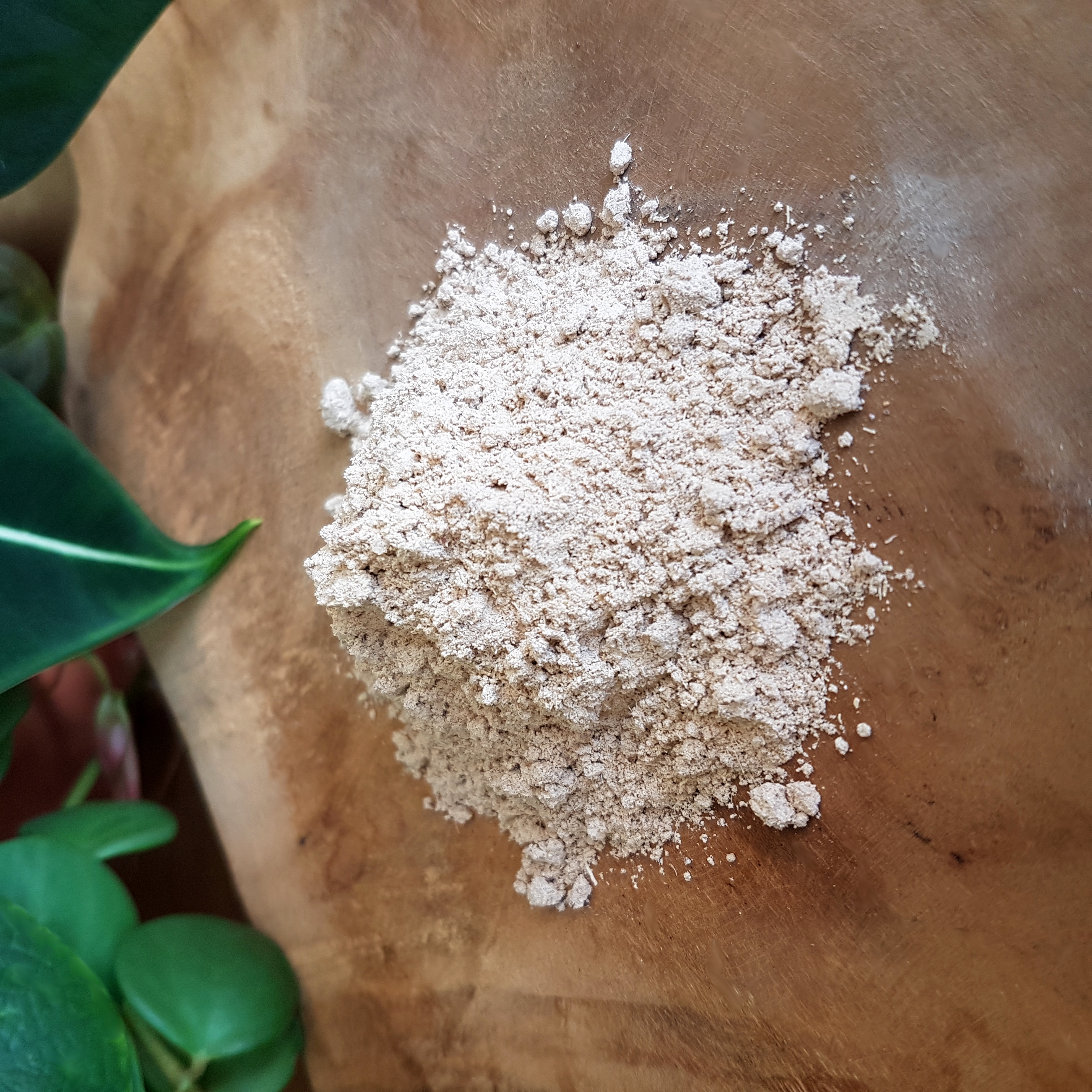 Yucca Schidigera en poudre