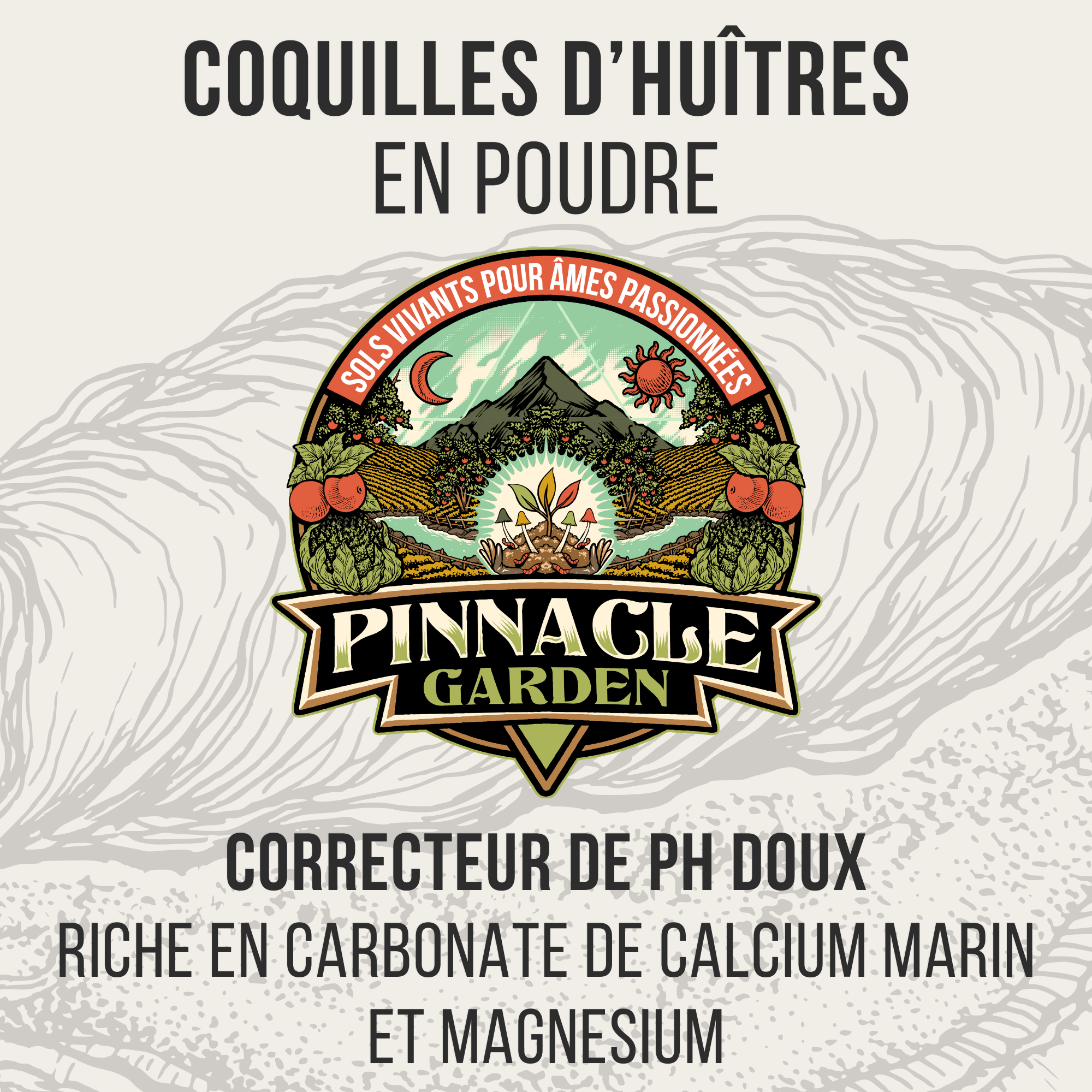 Coquilles d'huîtres en poudre