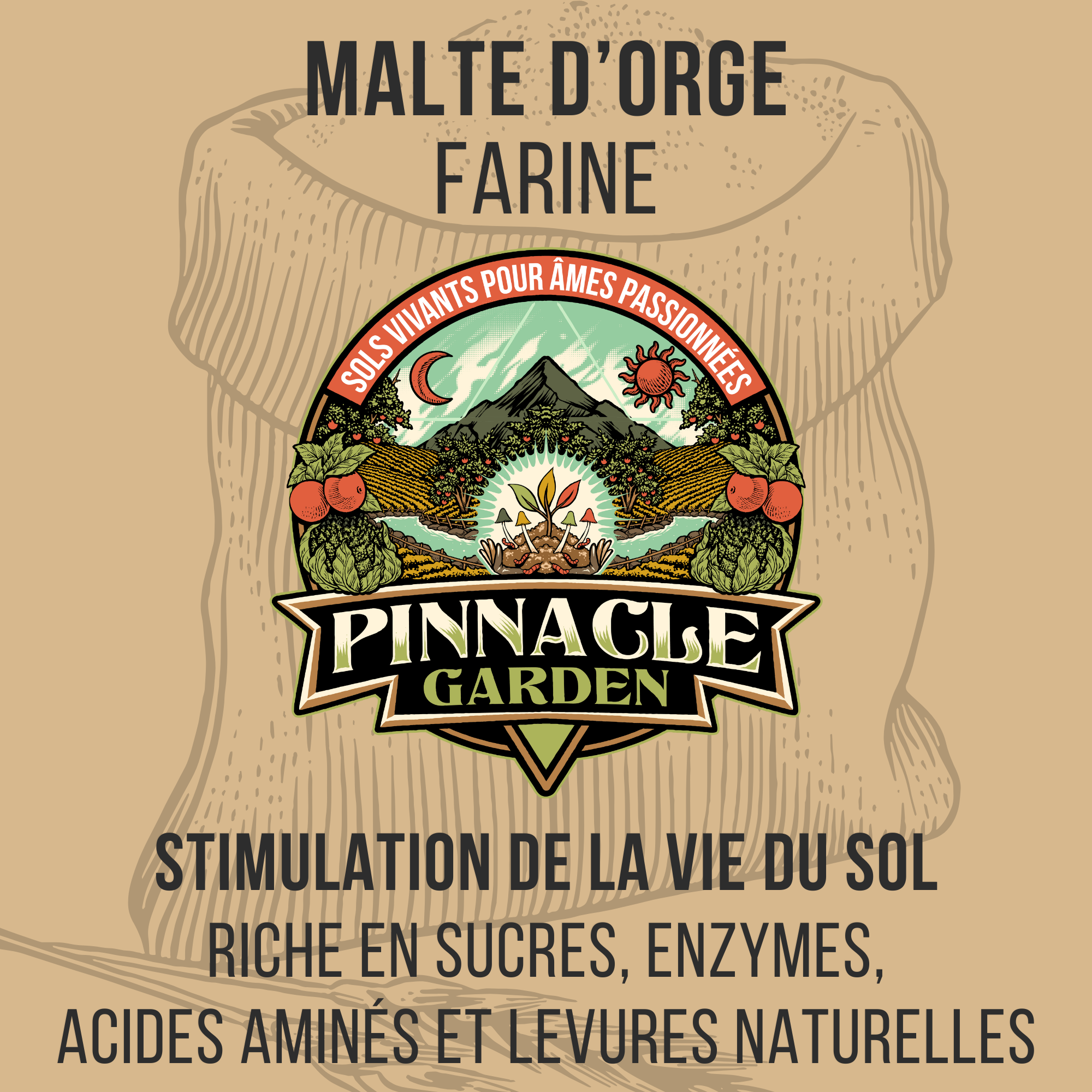 Malte d'orge Bio