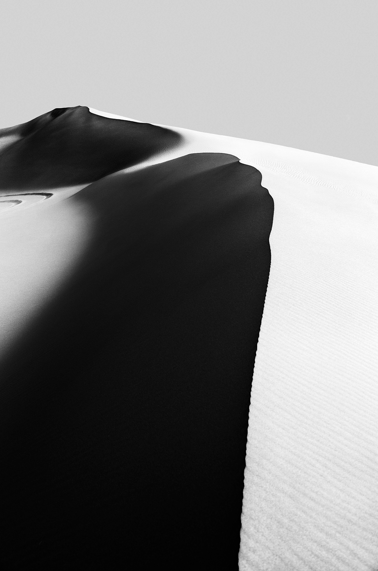 arabian dunes - 20223004