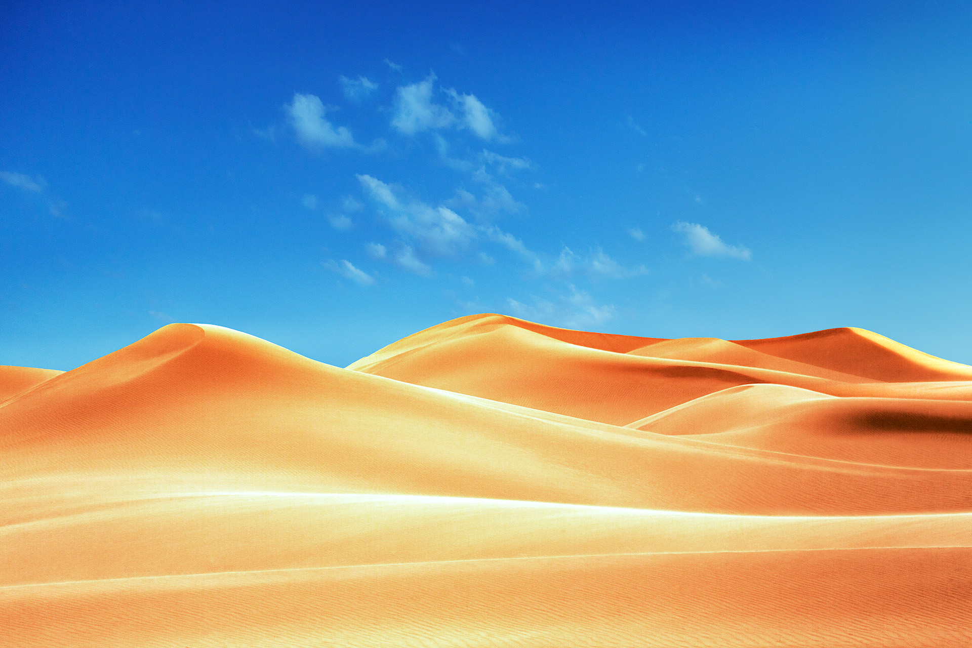 arabian dunes - 20223011