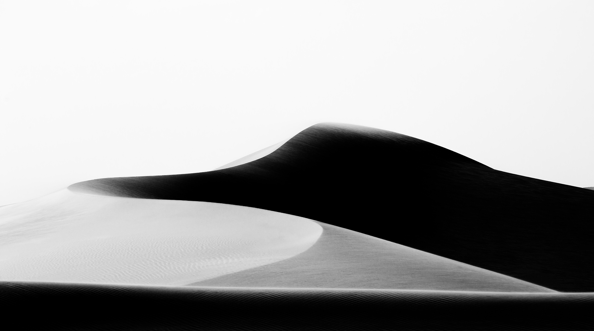 arabian dunes - 20223020