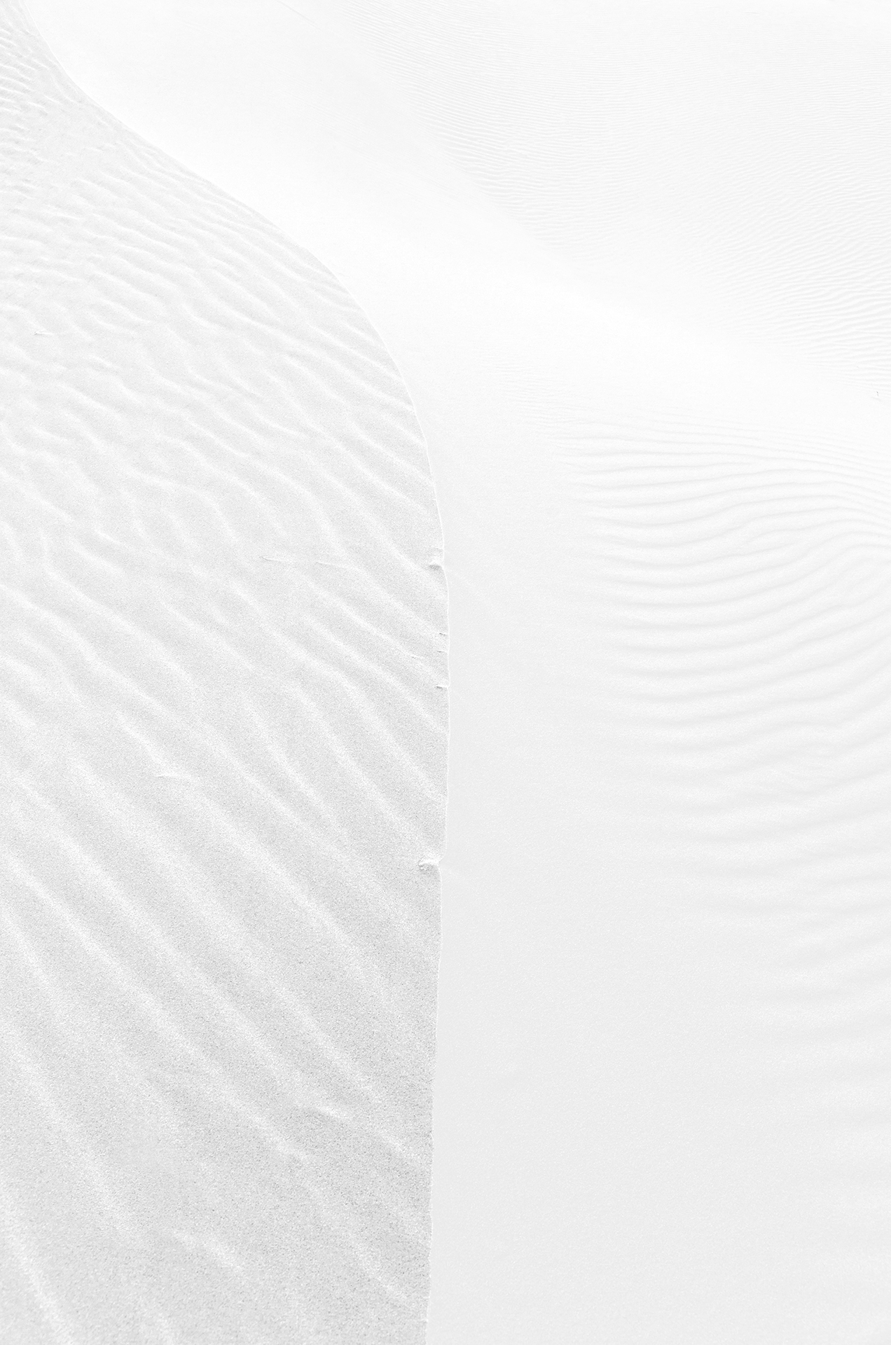 arabian dunes