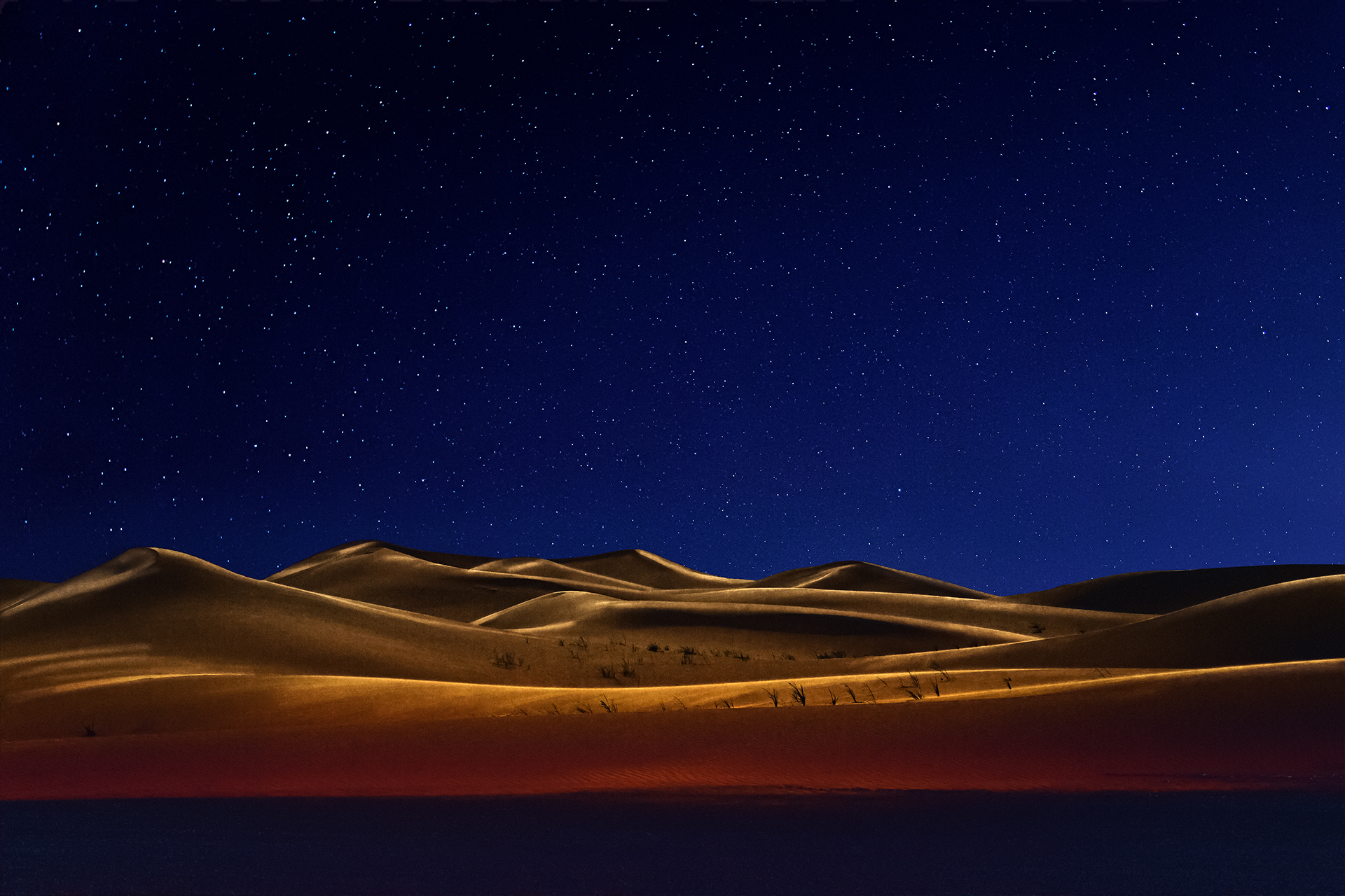 arabian dunes - 20223013