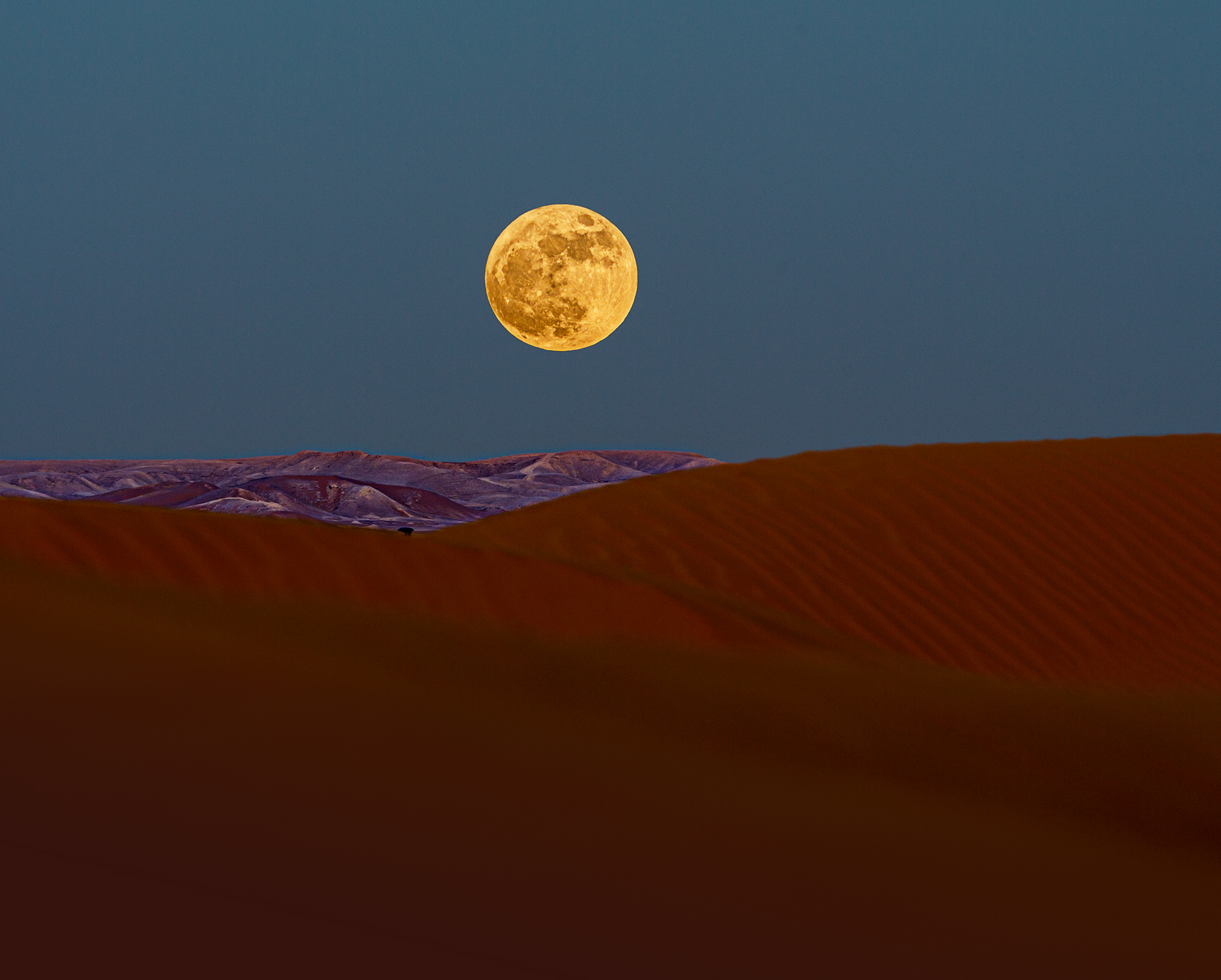 rise of moon - 20223016 