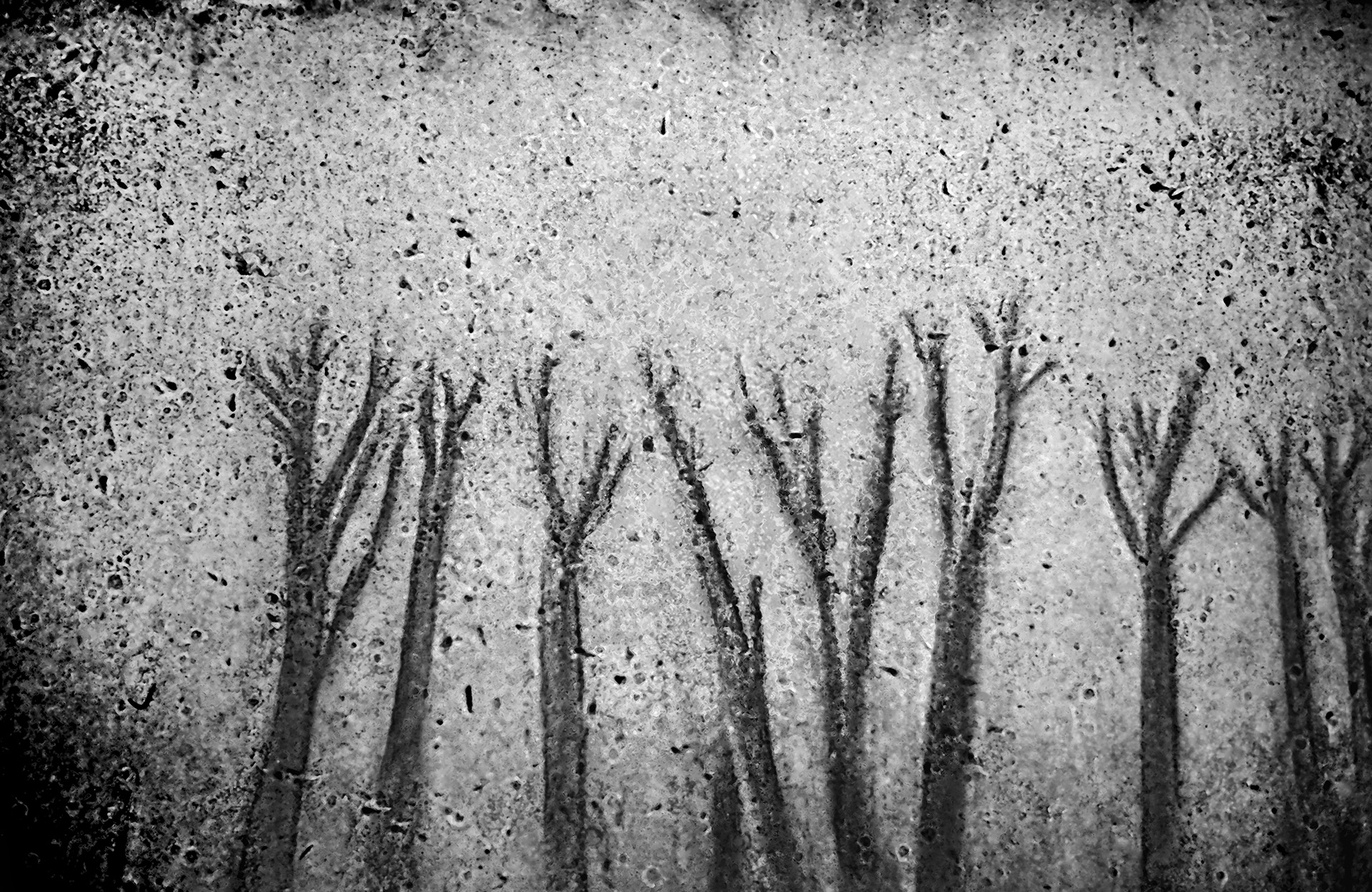 sand scape - 20140127