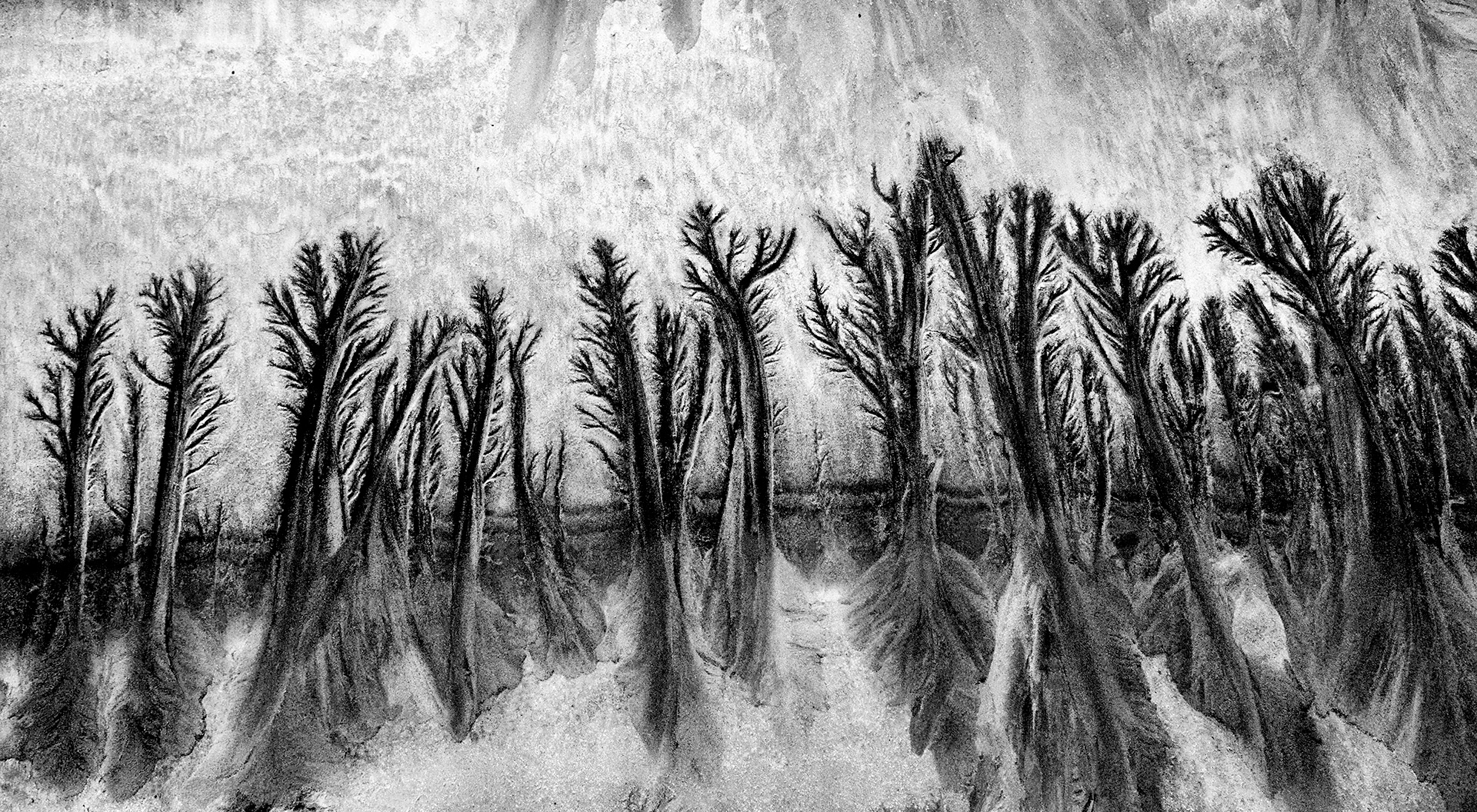 sand scape - 20150007