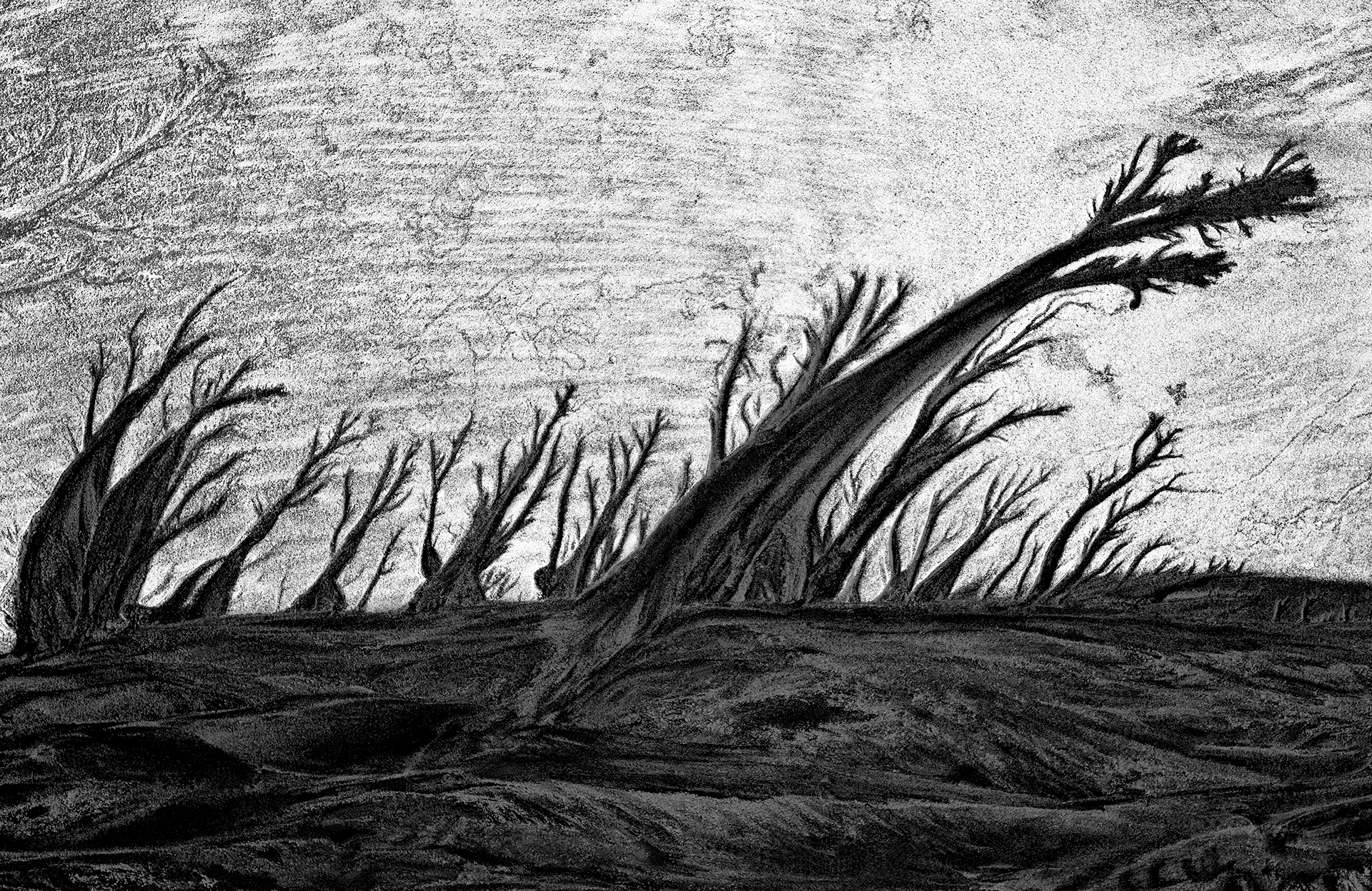 sand scape - 20150010