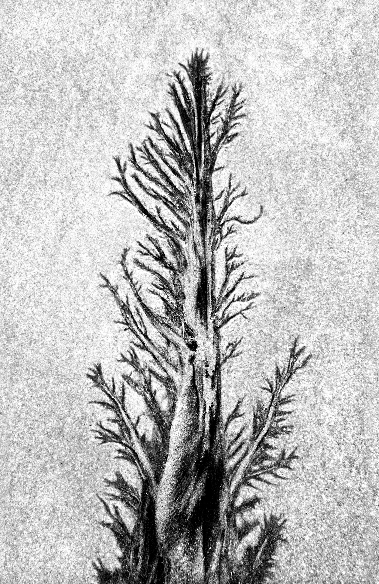 sand scape - 20140130