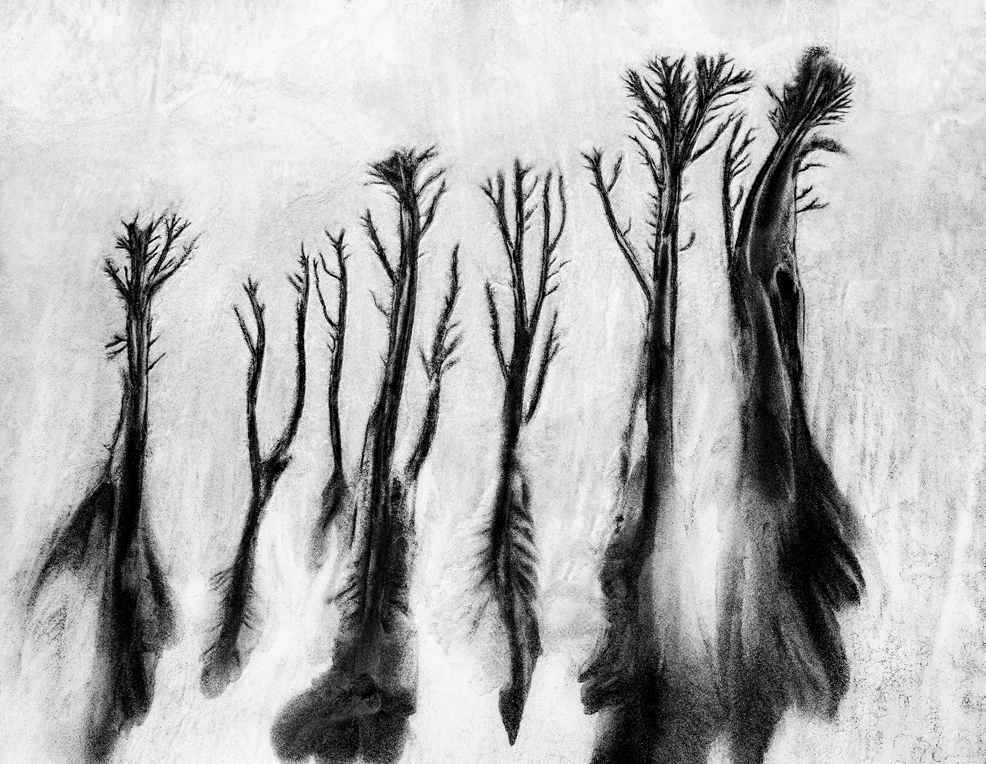 sand scape - 20150006