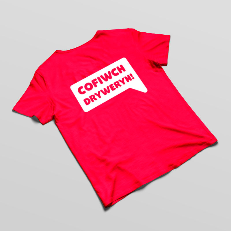 Crys COFIWCH DRYWERYN